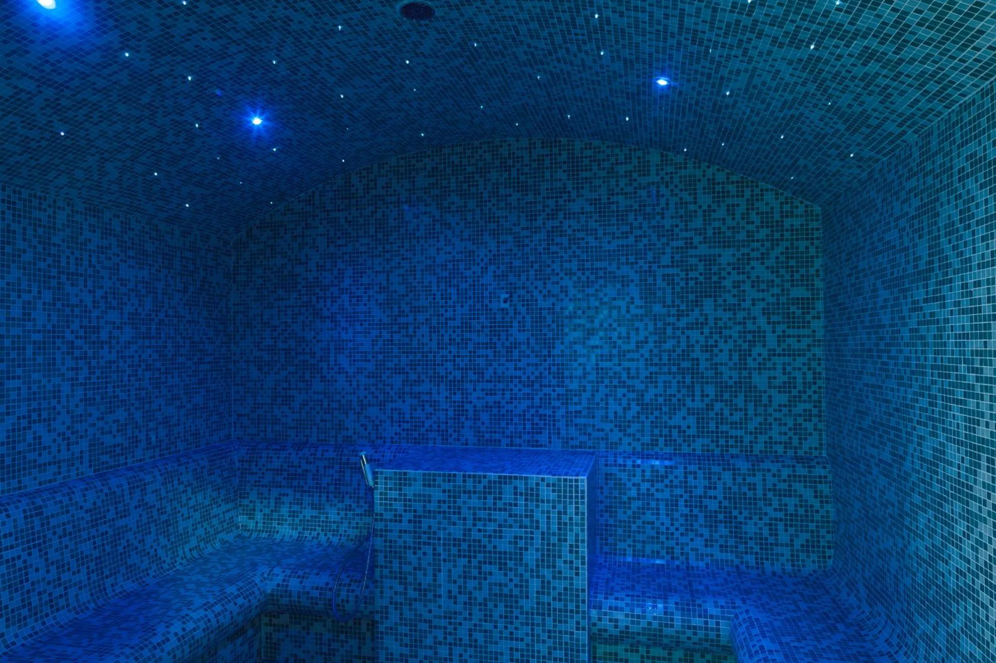 Shower in Hotel Spa Les Rives Sauvages