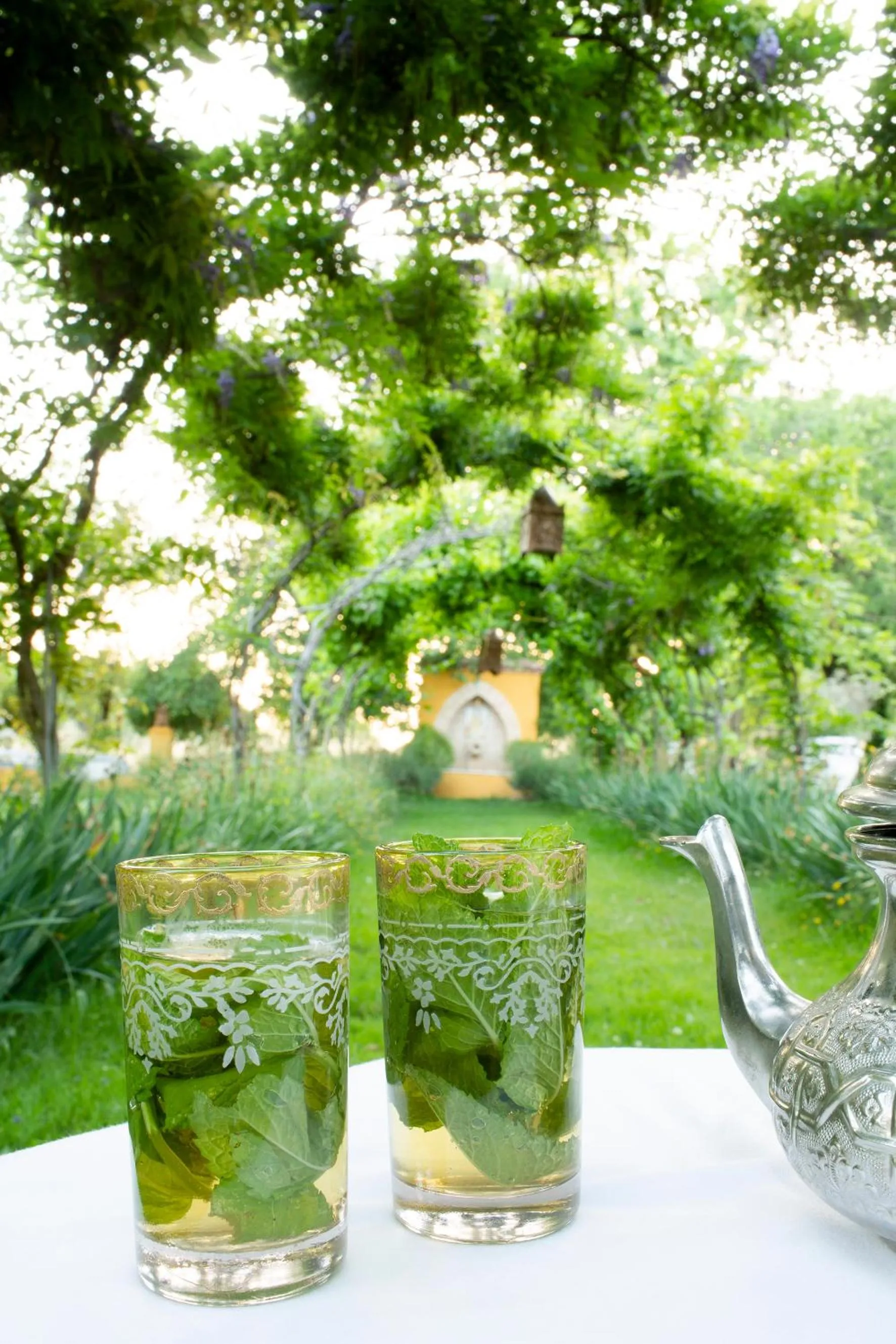 Garden in La Posada del Moro