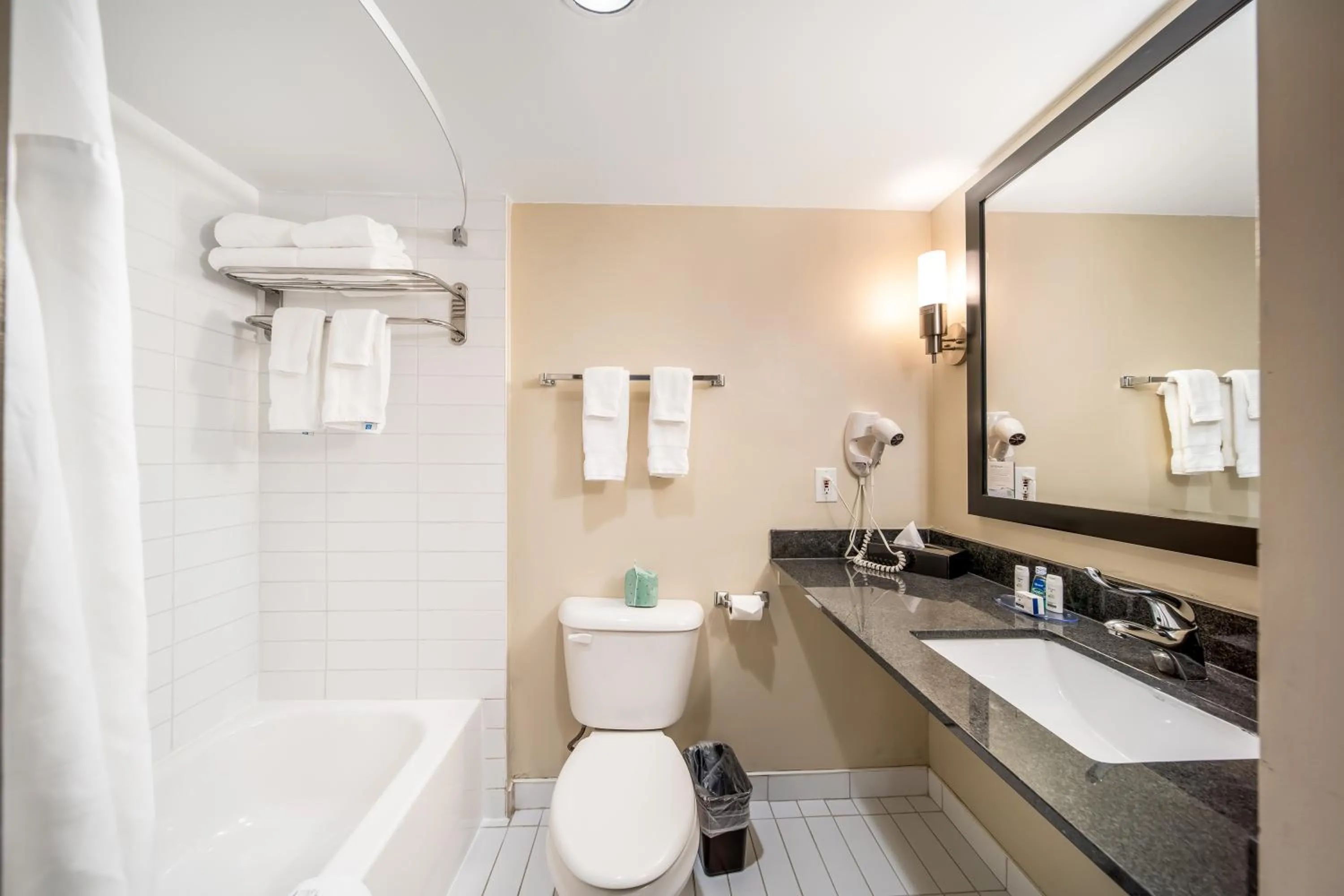 Bathroom in Ramada Plaza by Wyndham Niagara Falls