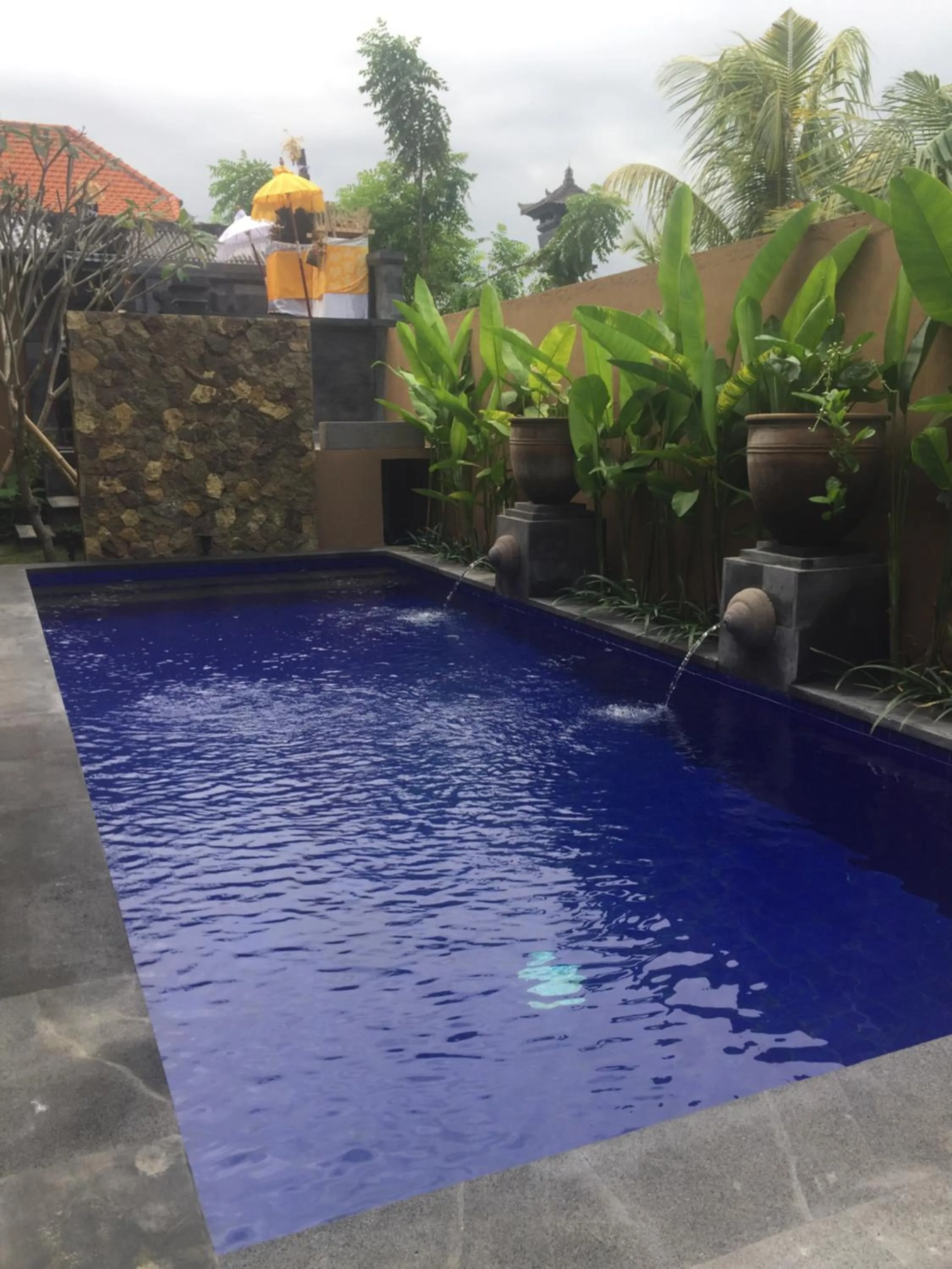 Swimming pool in Surya Guest House Sanur