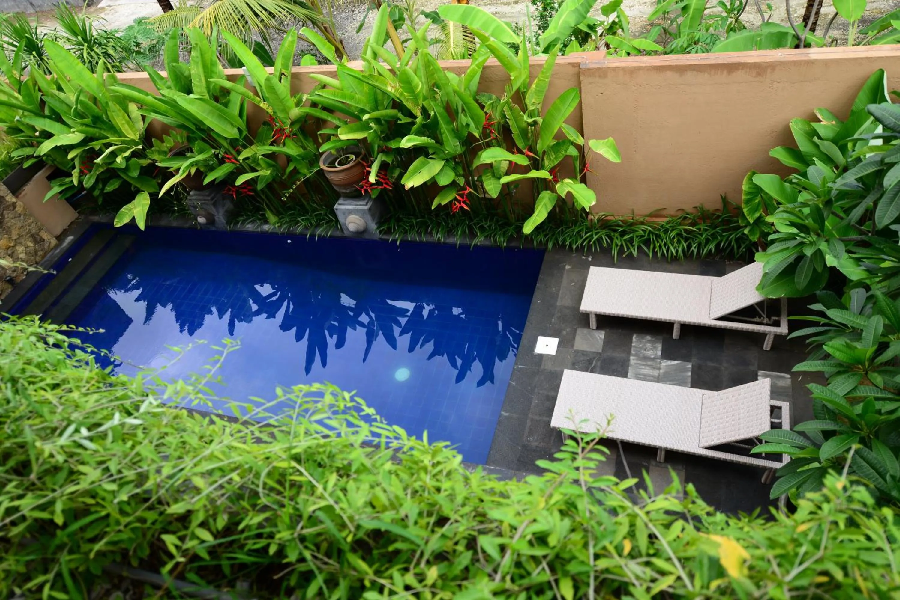 Surya Guest House Sanur