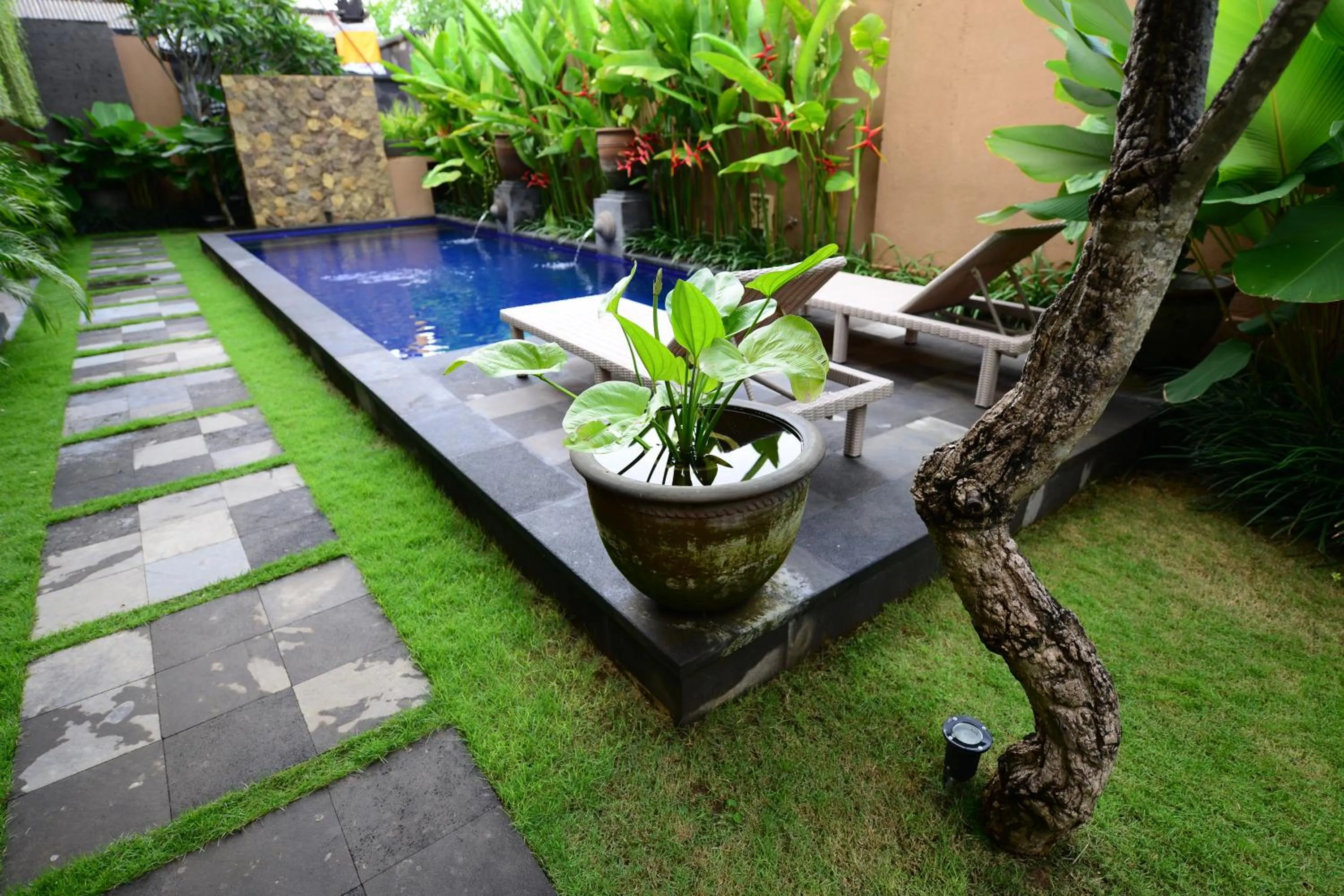 Surya Guest House Sanur