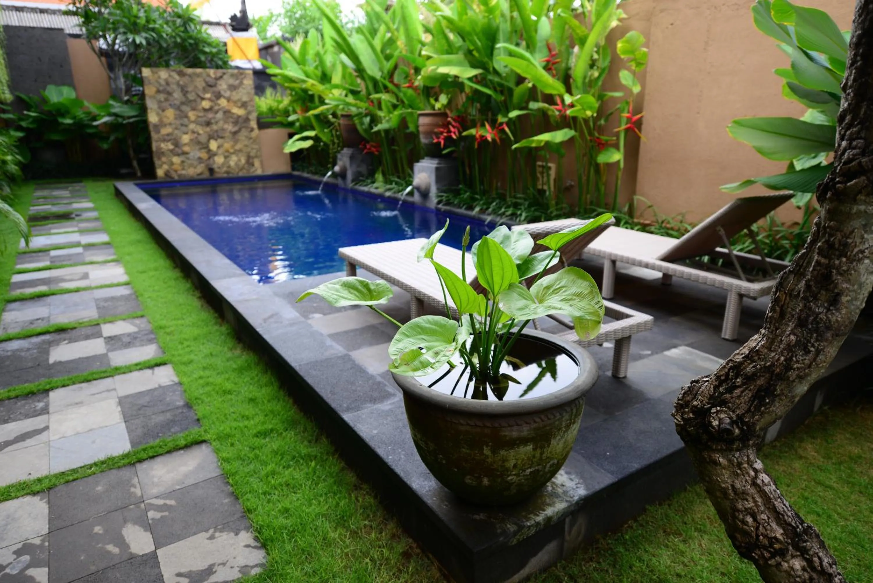 Surya Guest House Sanur