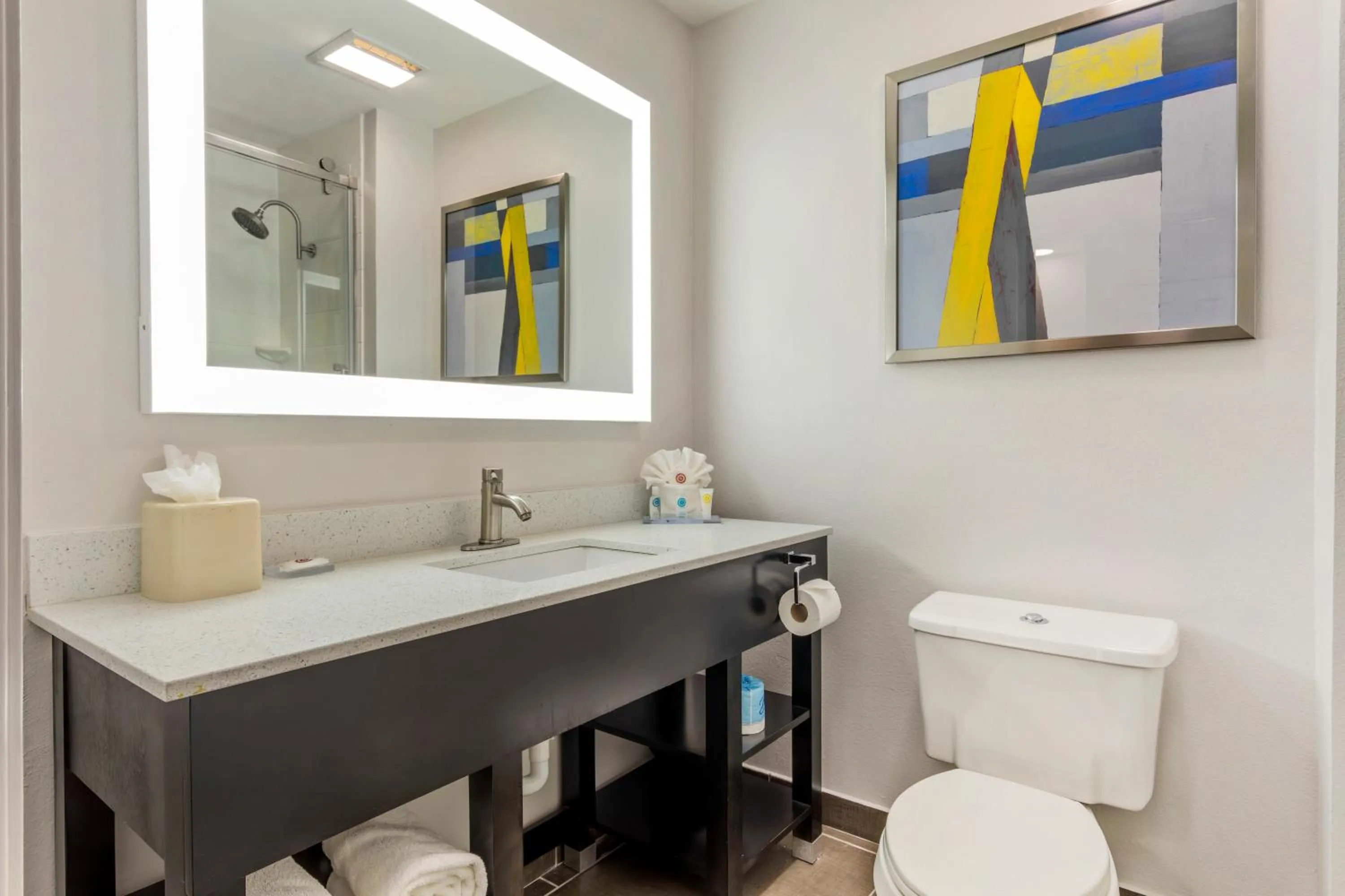 Toilet in Comfort Inn & Suites Irving Las Colinas DFW