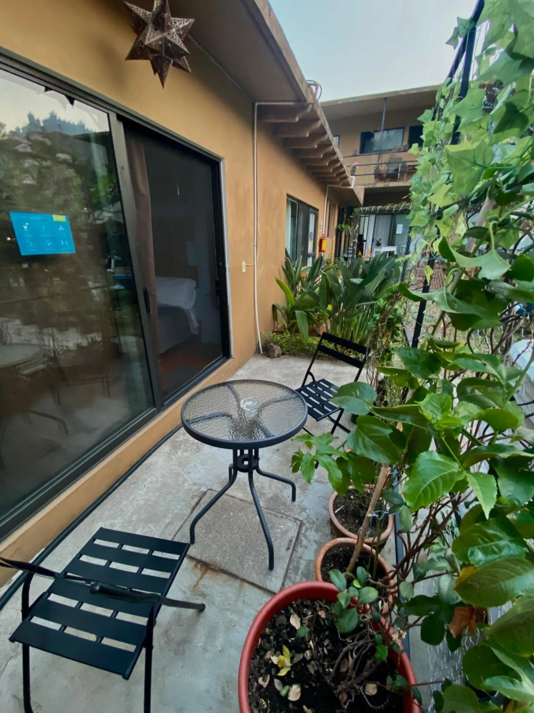 Garden in Posada Casa Topiltzin