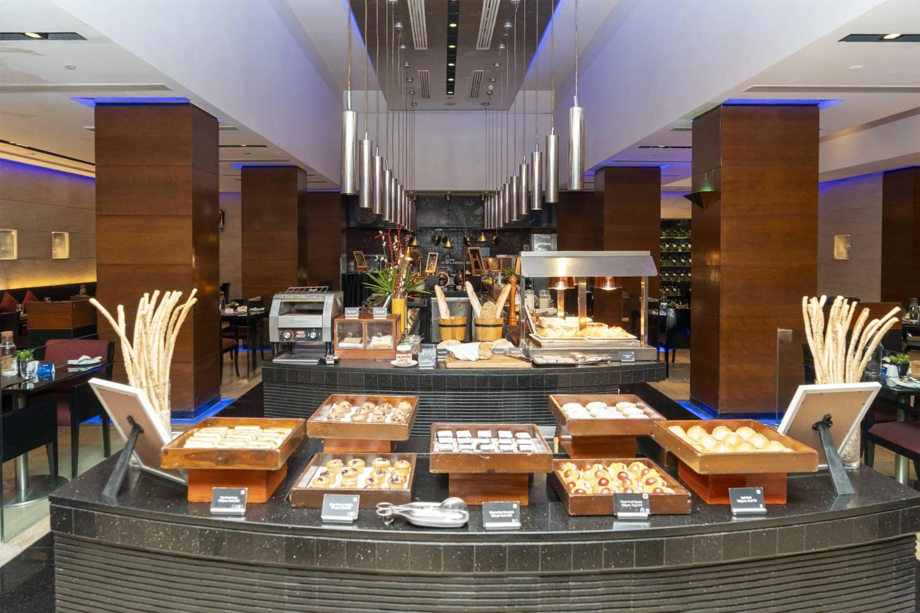 Restaurant/places to eat in Radisson Blu Plaza Delhi Airport