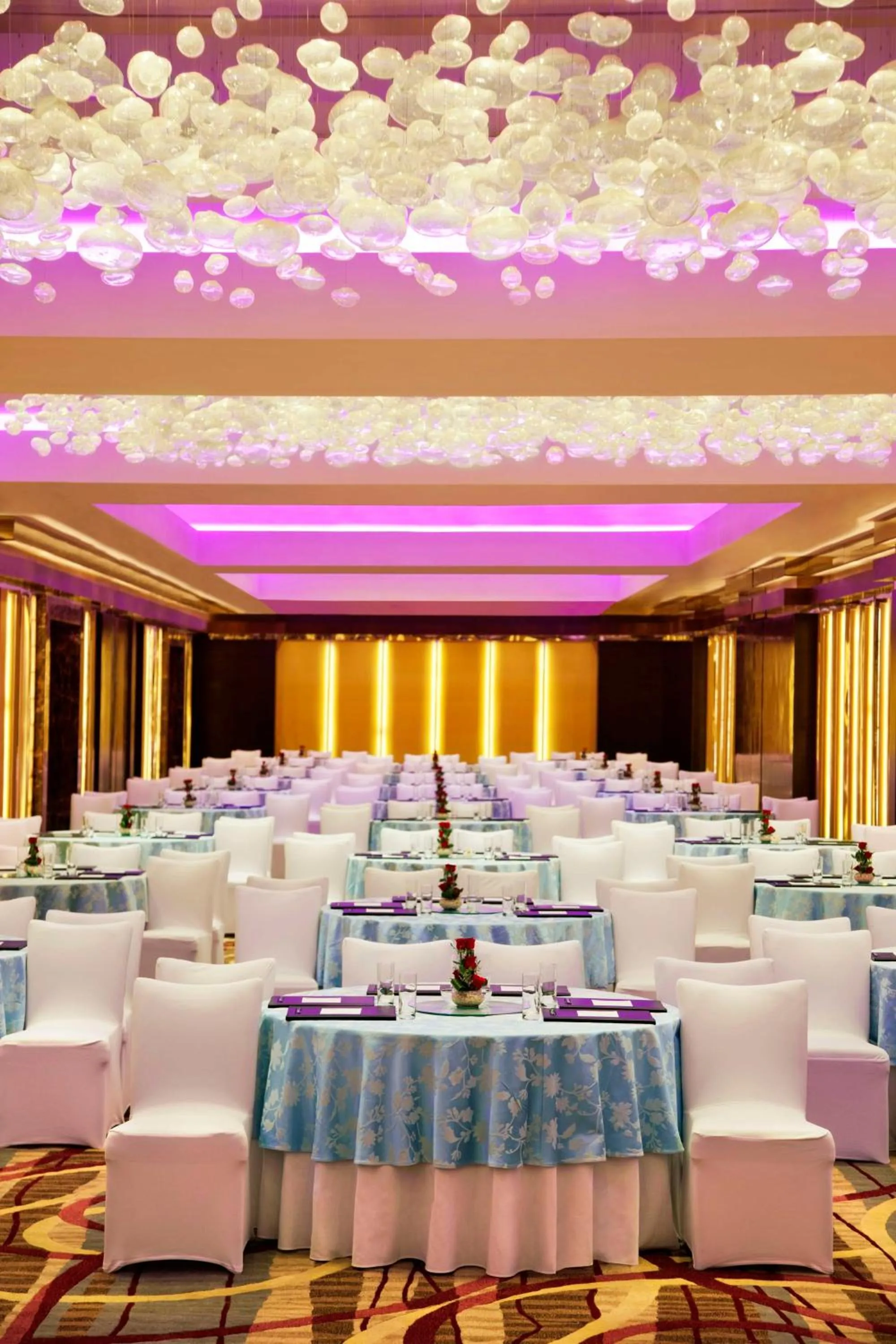 Banquet/Function facilities in Radisson Blu Plaza Delhi Airport