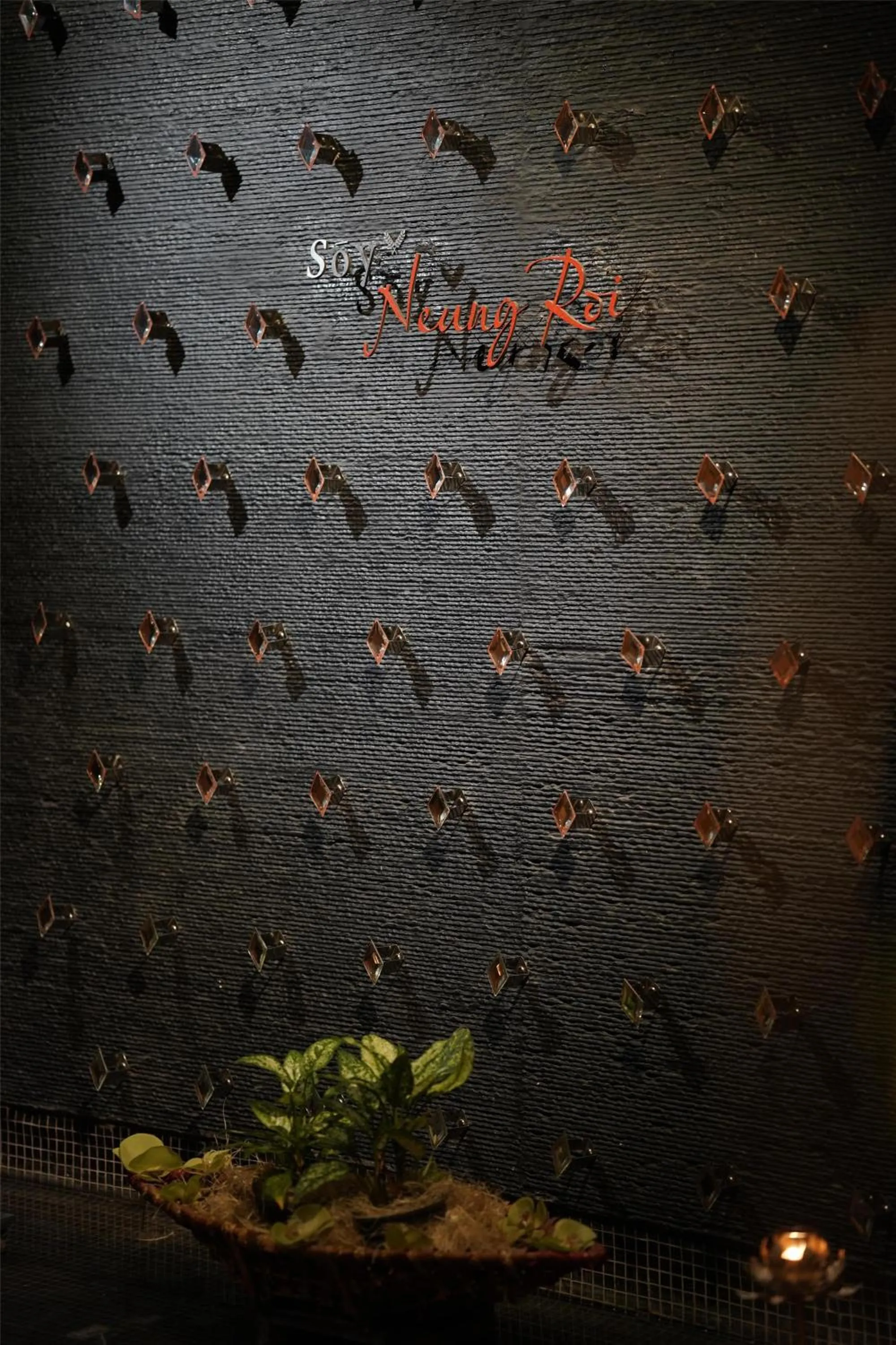 Restaurant/places to eat in Radisson Blu Plaza Delhi Airport