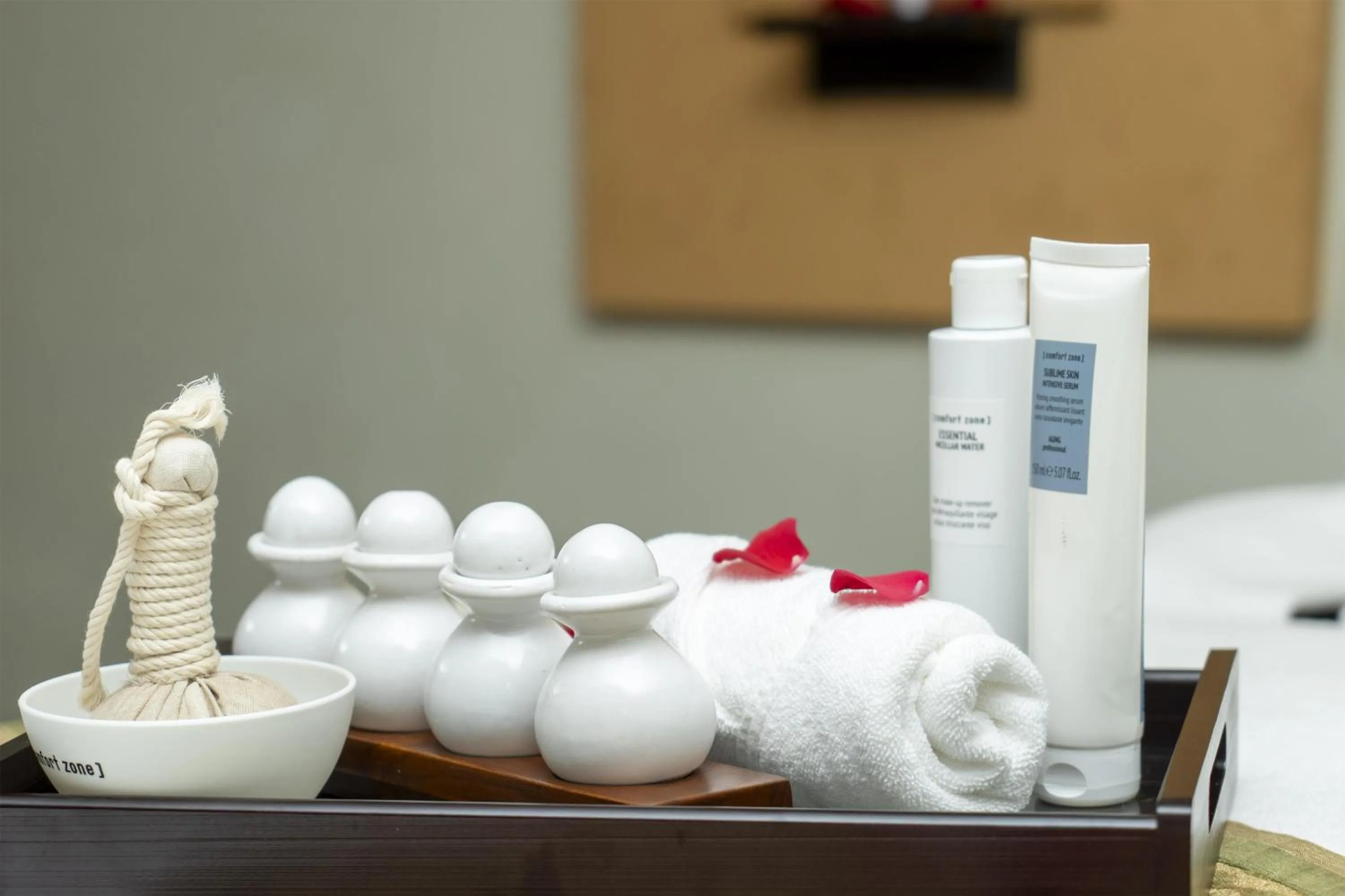 Spa and wellness centre/facilities in Radisson Blu Plaza Delhi Airport