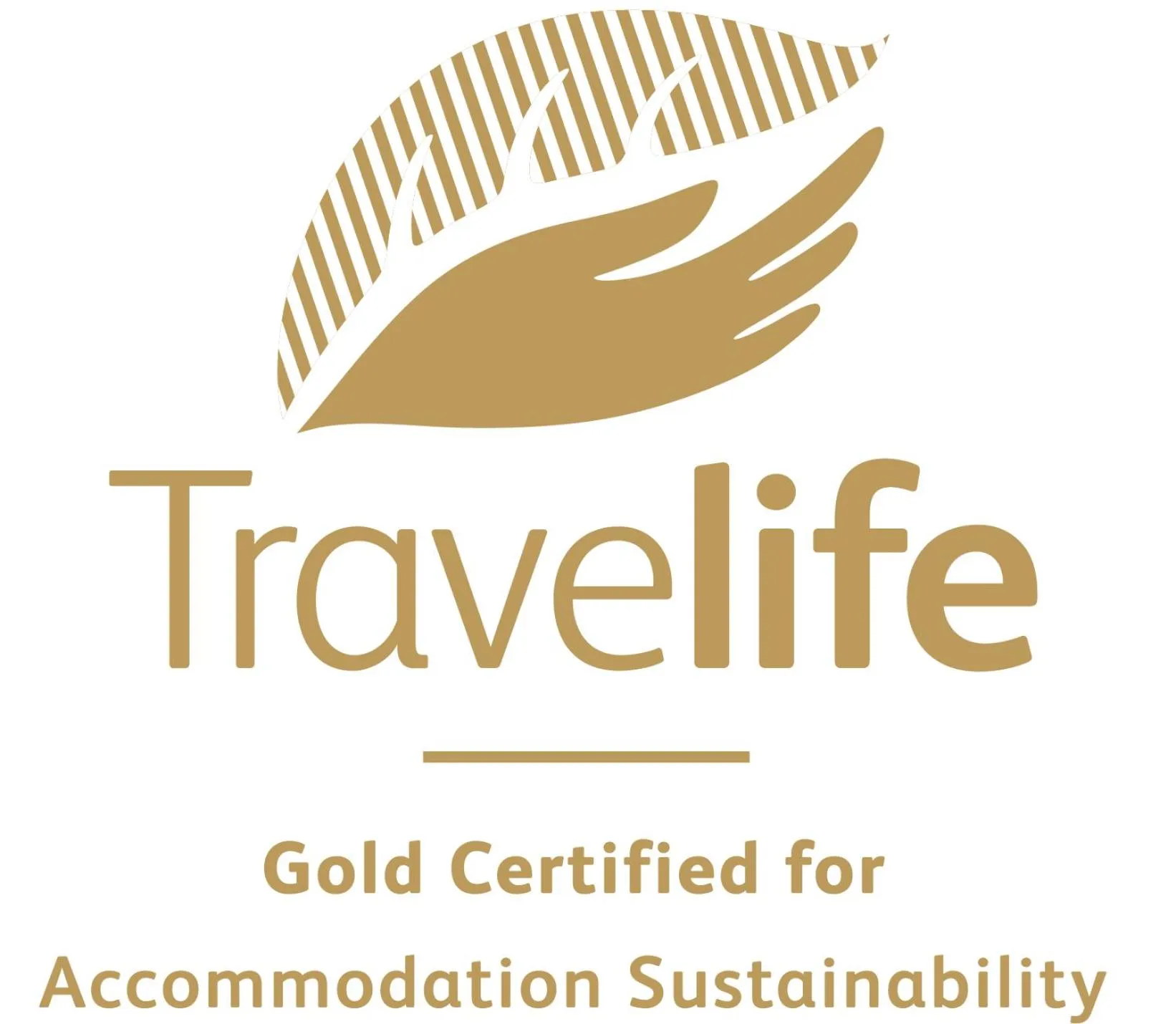 Certificate/Award in Chongfah Resort Khao Lak - SHA Extra Plus