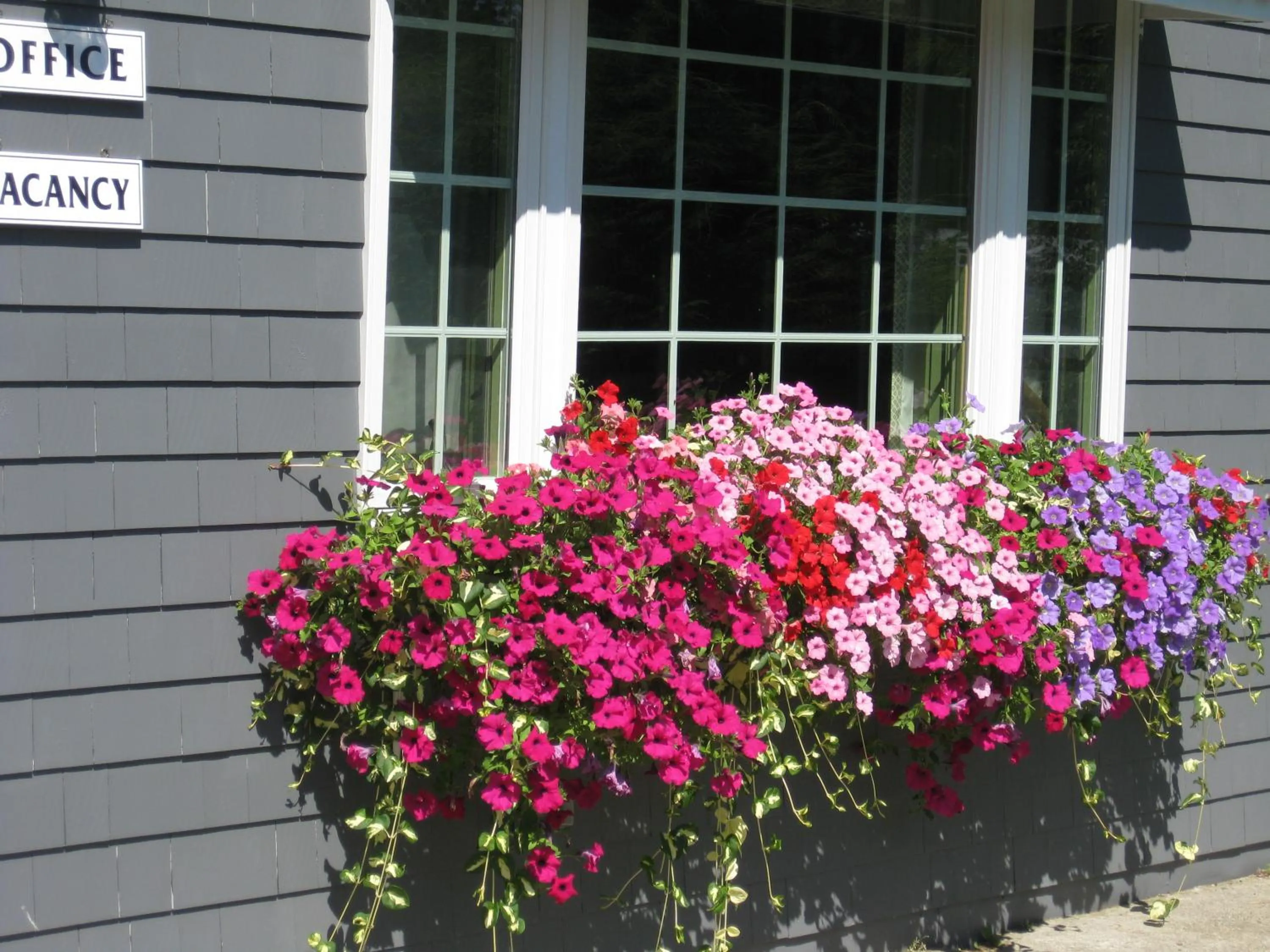 Facade/entrance in Mid-Town Motel