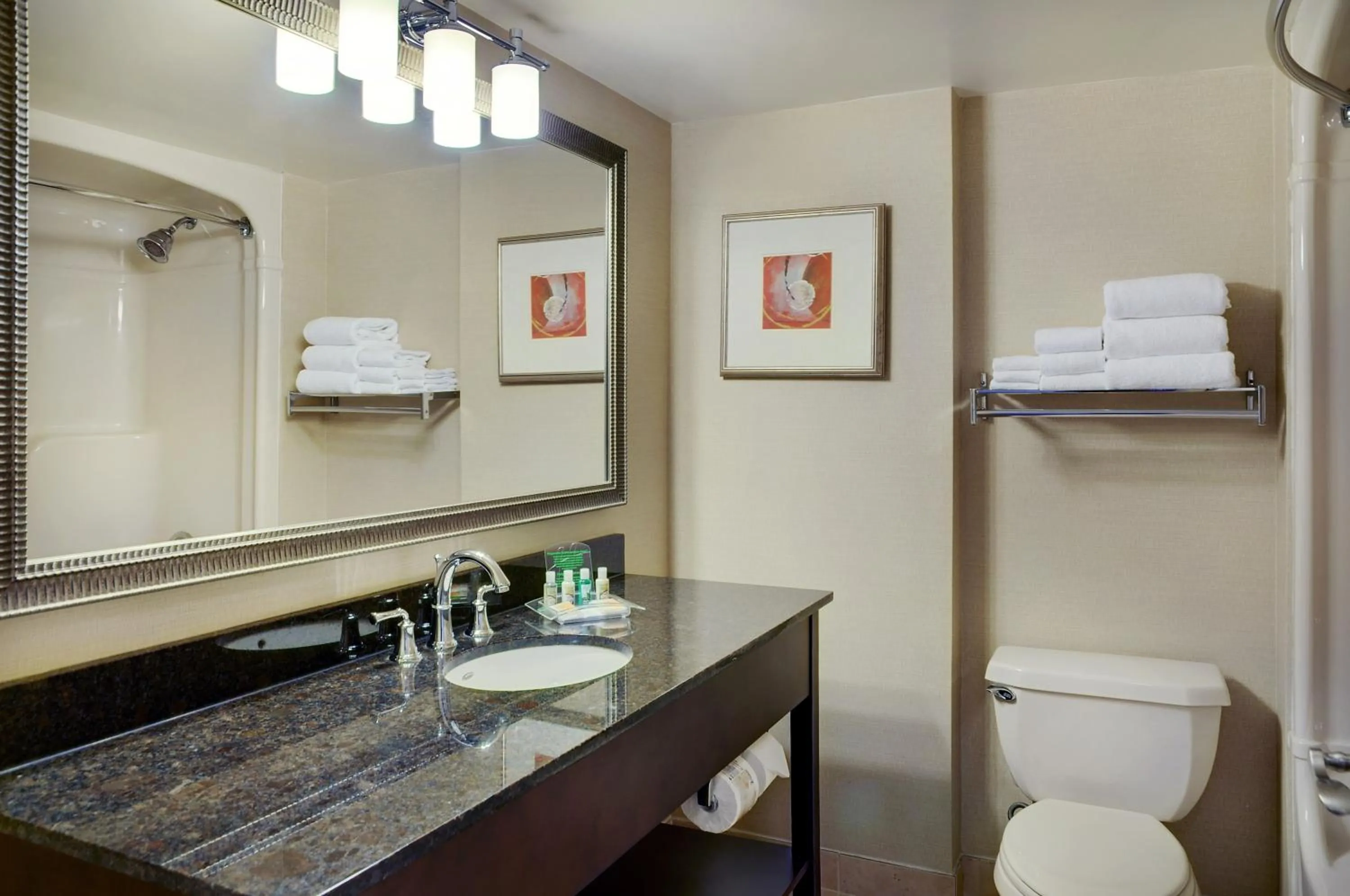 Bathroom in Allure Hotel & Conference Centre, Ascend Hotel Collection