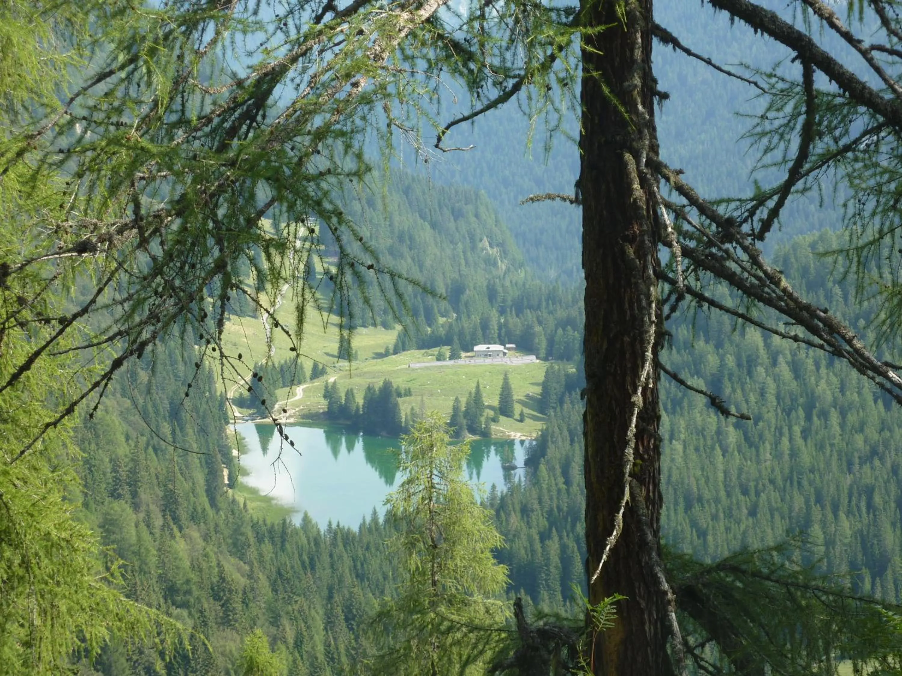 Natural landscape in Hotel Cristiania