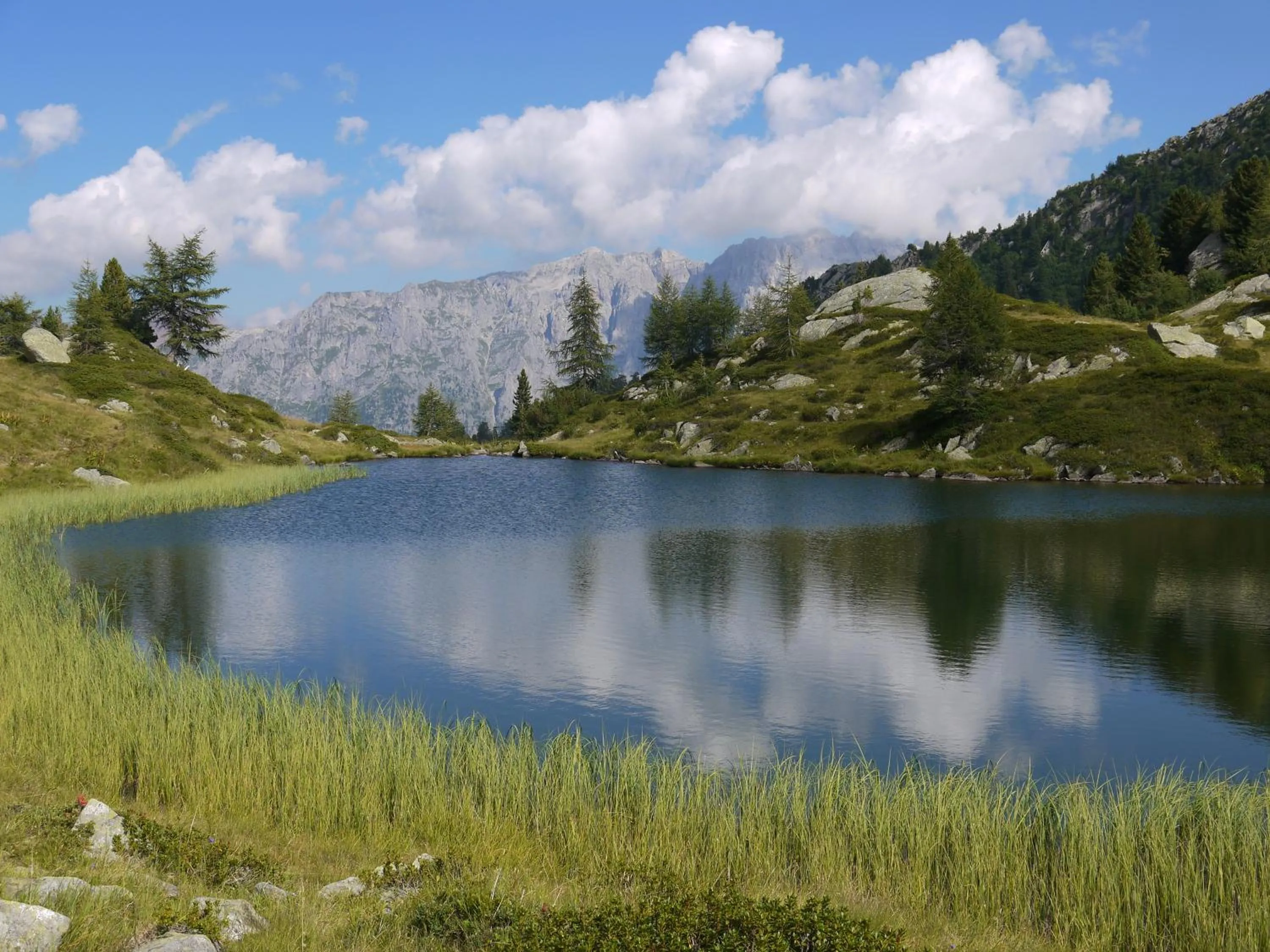 Natural landscape in Hotel Cristiania