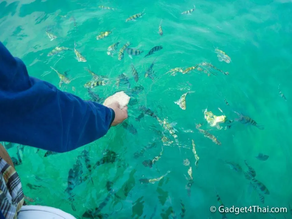 Baan Klang Aow Beach Resort