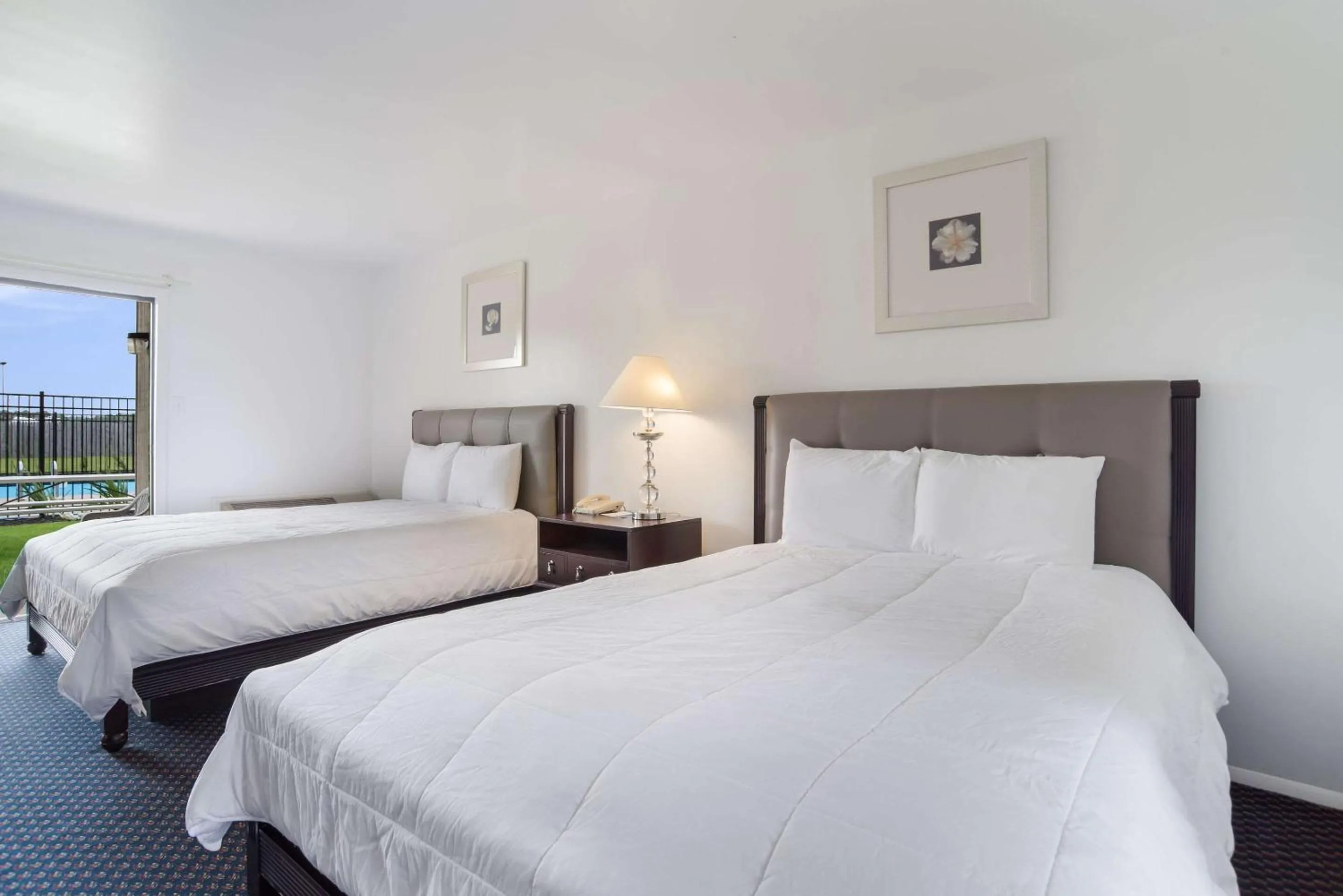 Photo of the whole room, Bed in Rodeway Inn at Somers Cove Marina