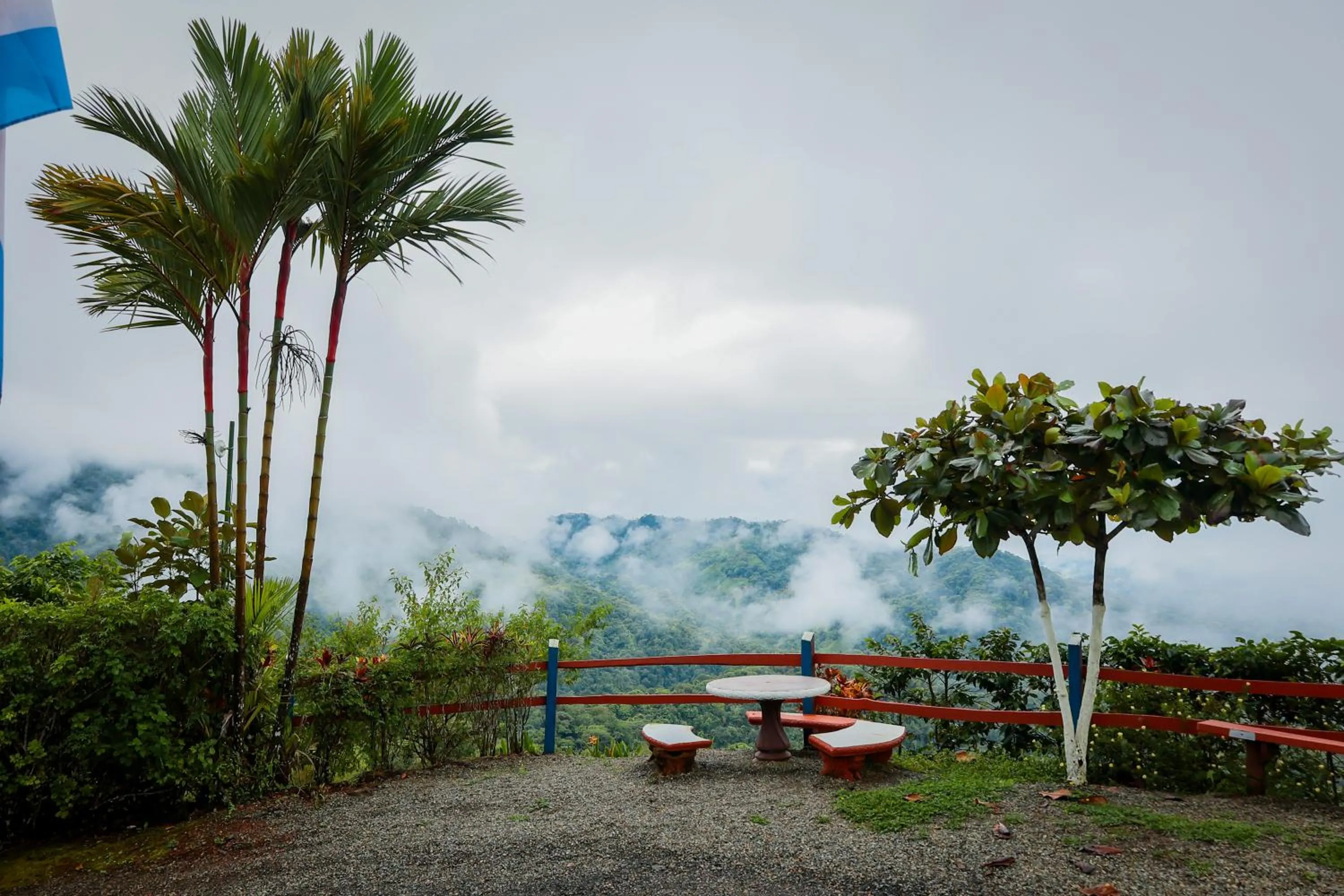 Natural landscape in Santa Juana Lodge & Nature Reserve