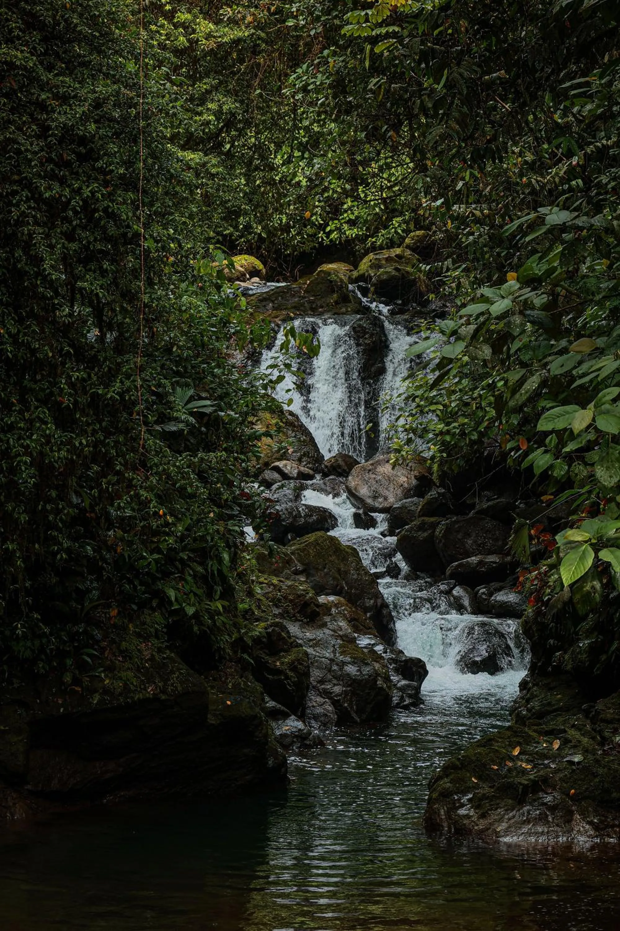 Santa Juana Lodge & Nature Reserve