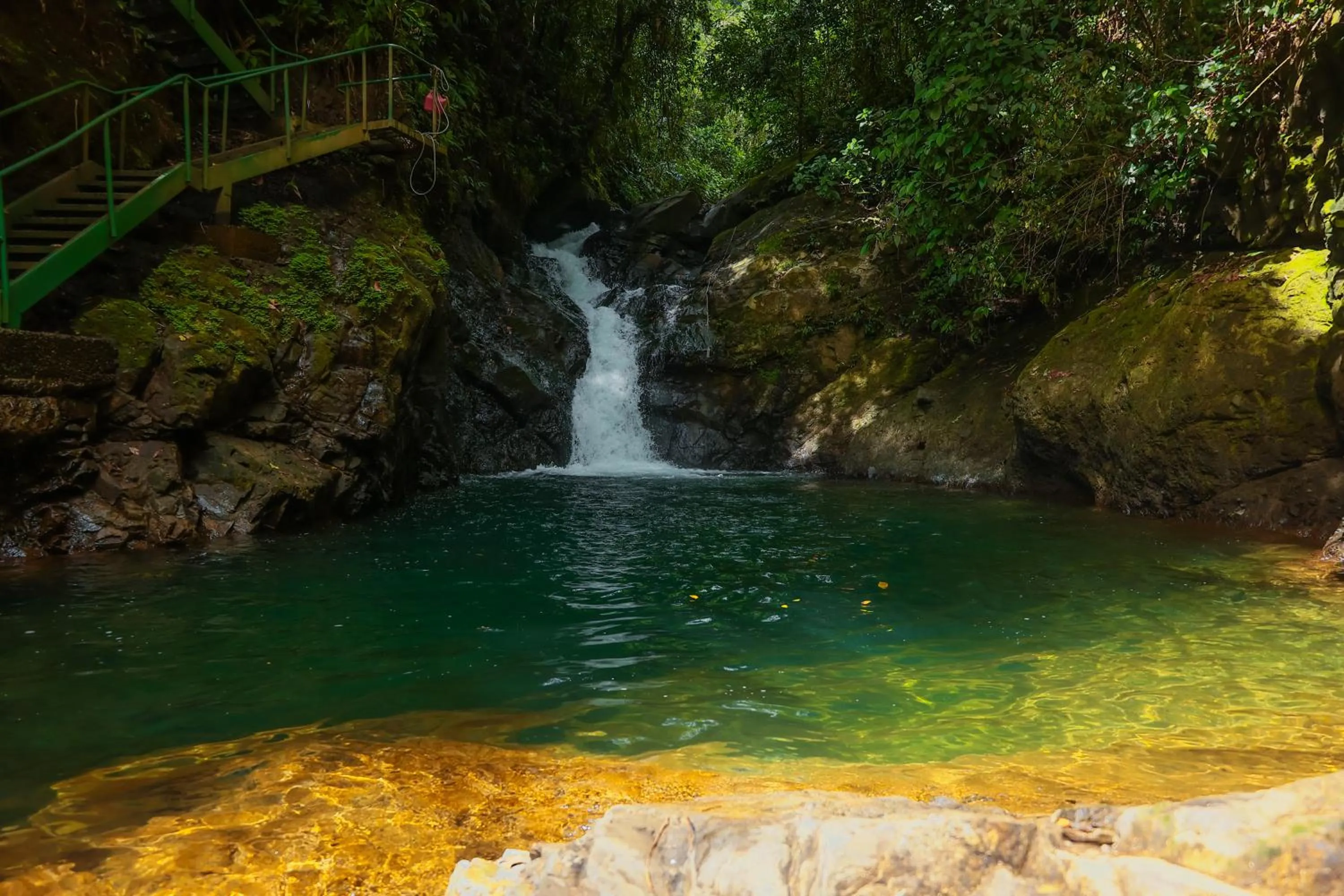 Natural landscape in Santa Juana Lodge & Nature Reserve