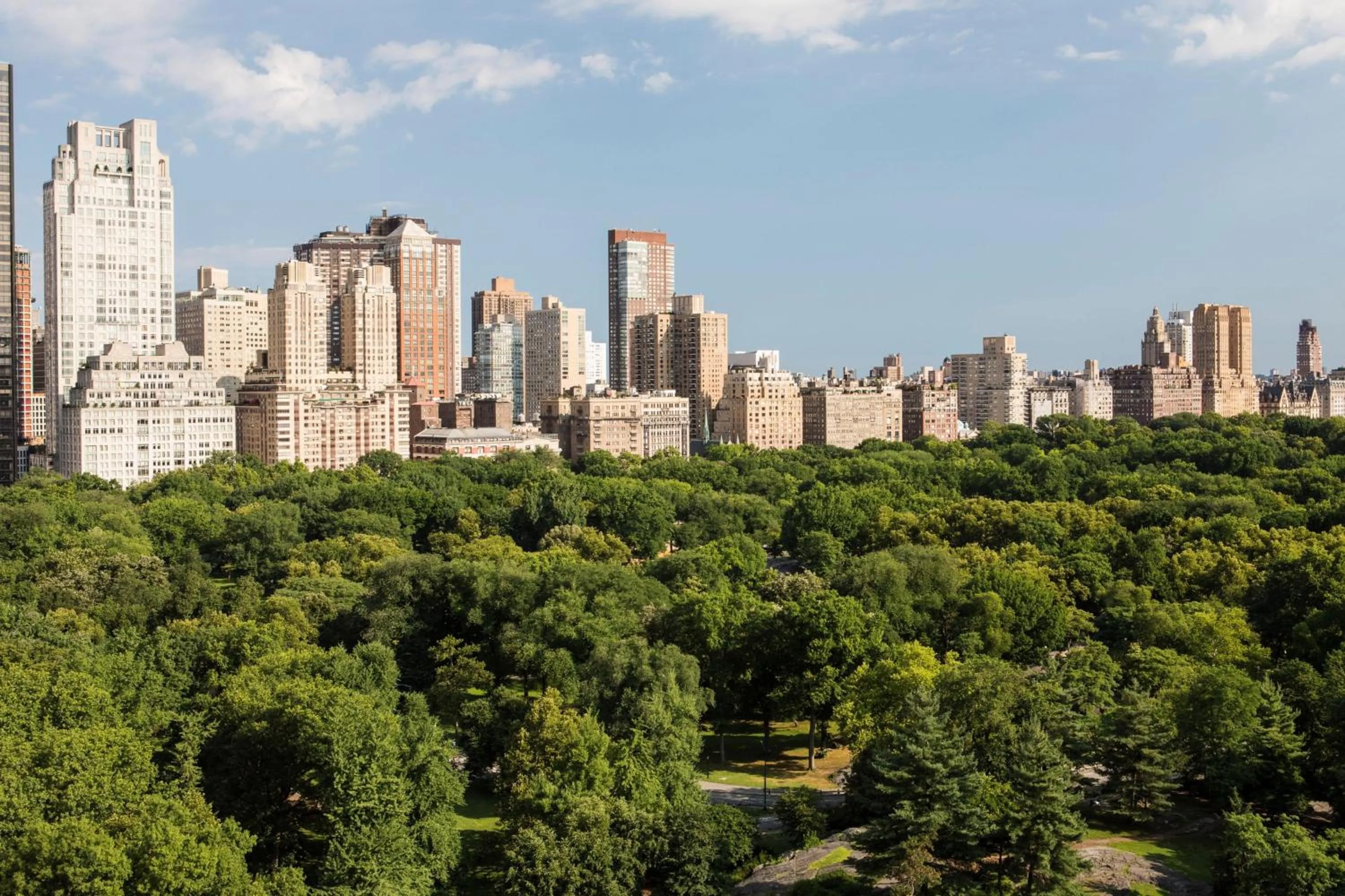 View (from property/room) in The Ritz-Carlton New York, Central Park