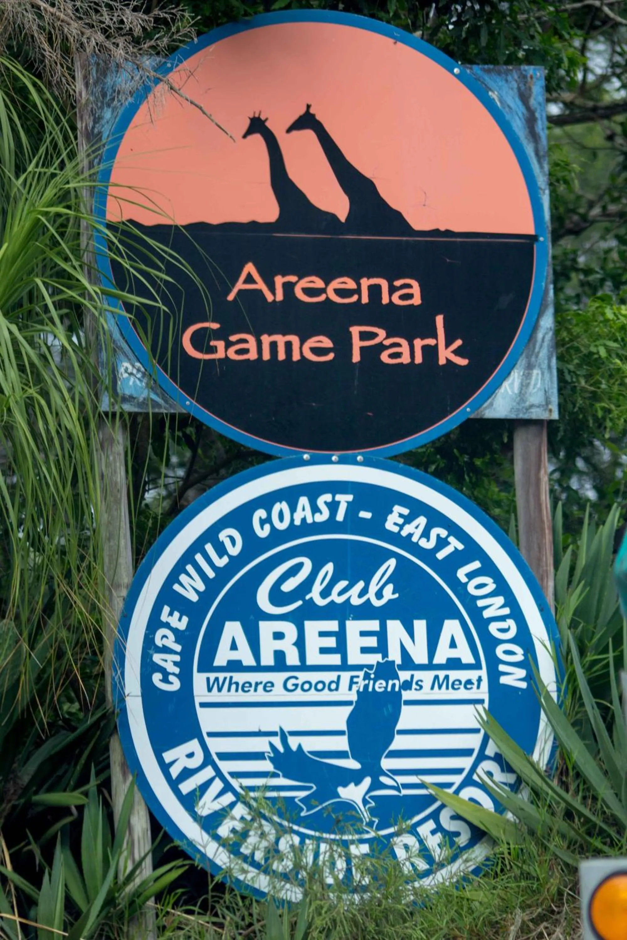 Property logo or sign in Areena Riverside Resort