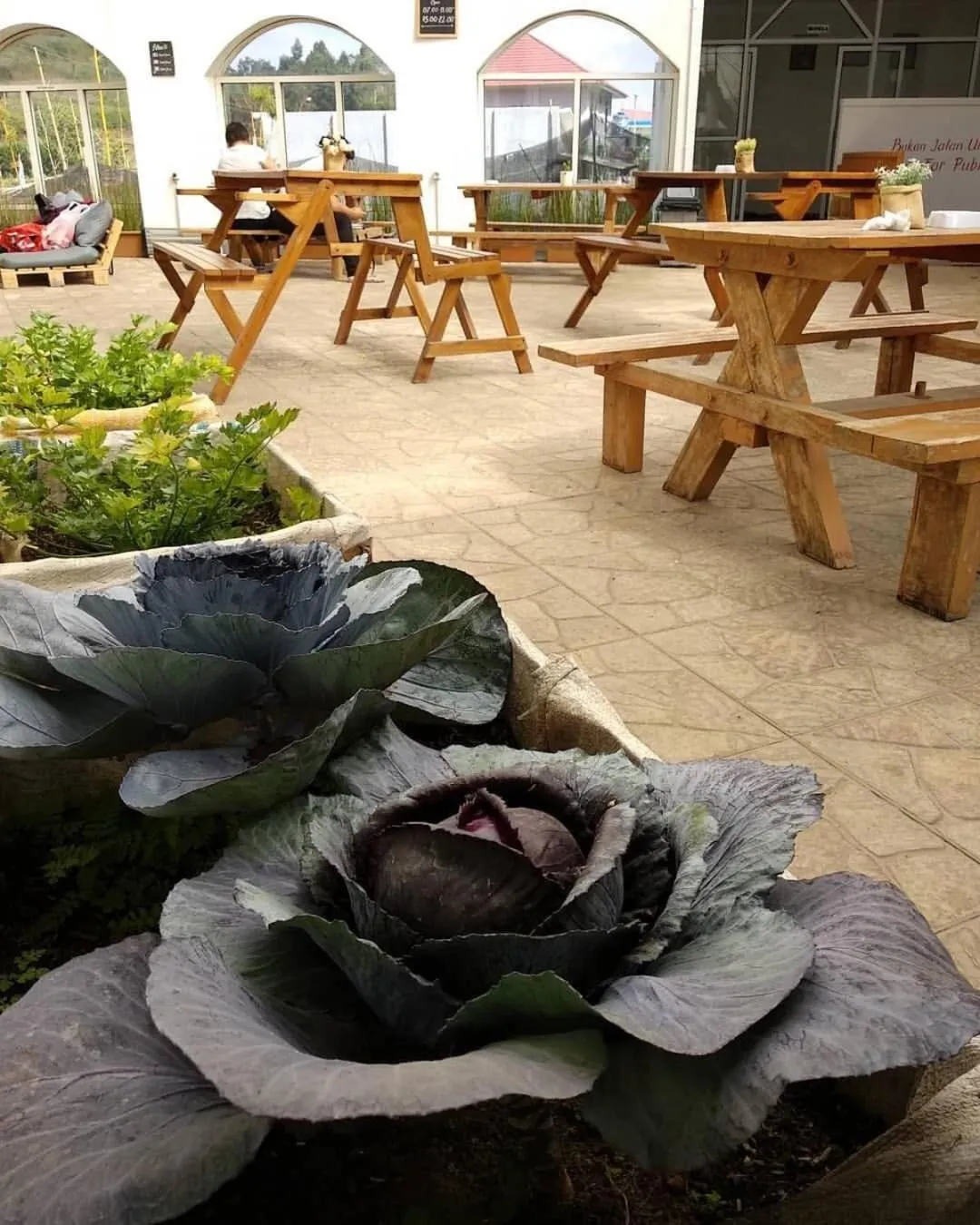 Patio in Tani Jiwo Hostel