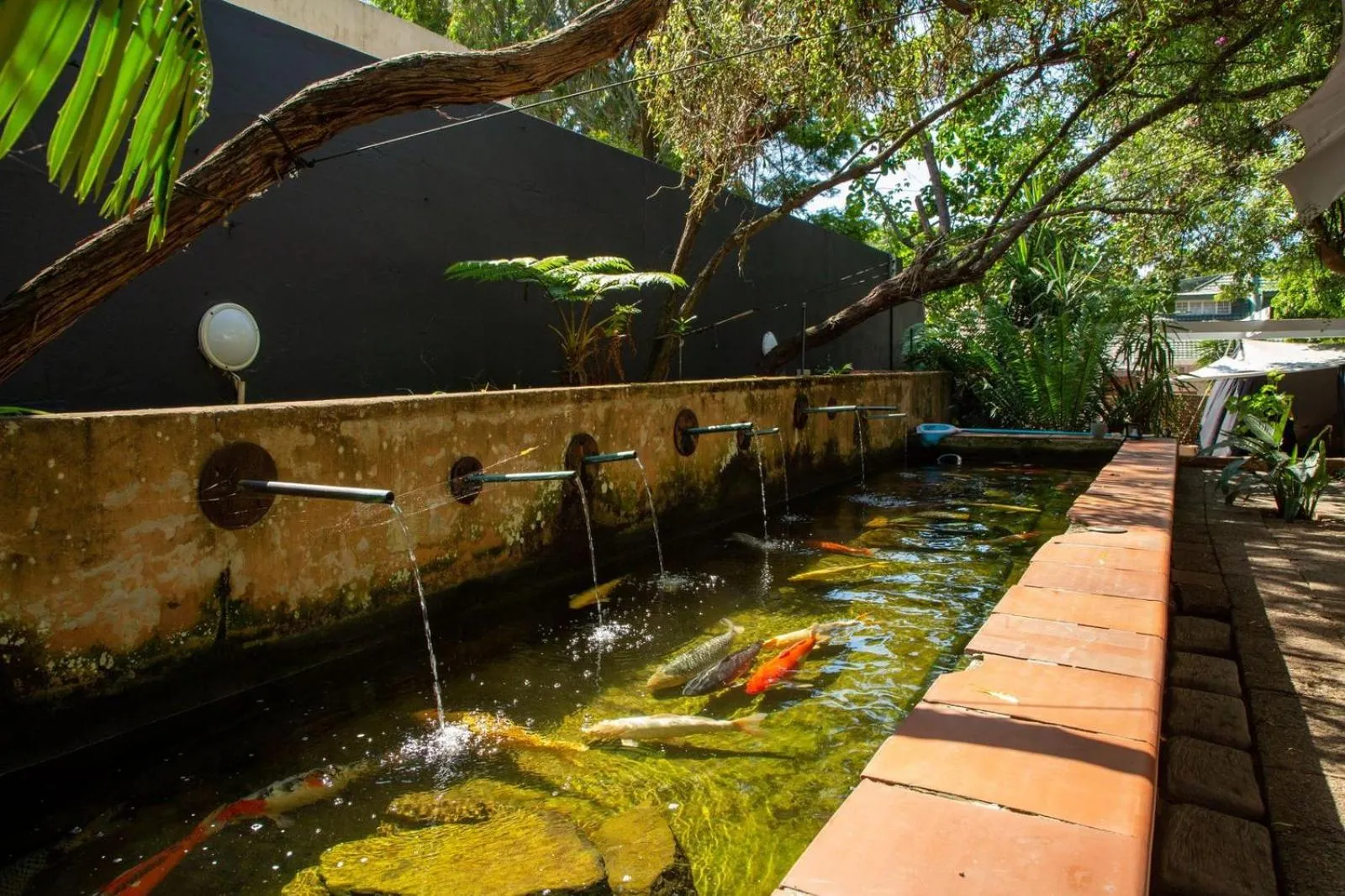 Garden in Saint James on Venice