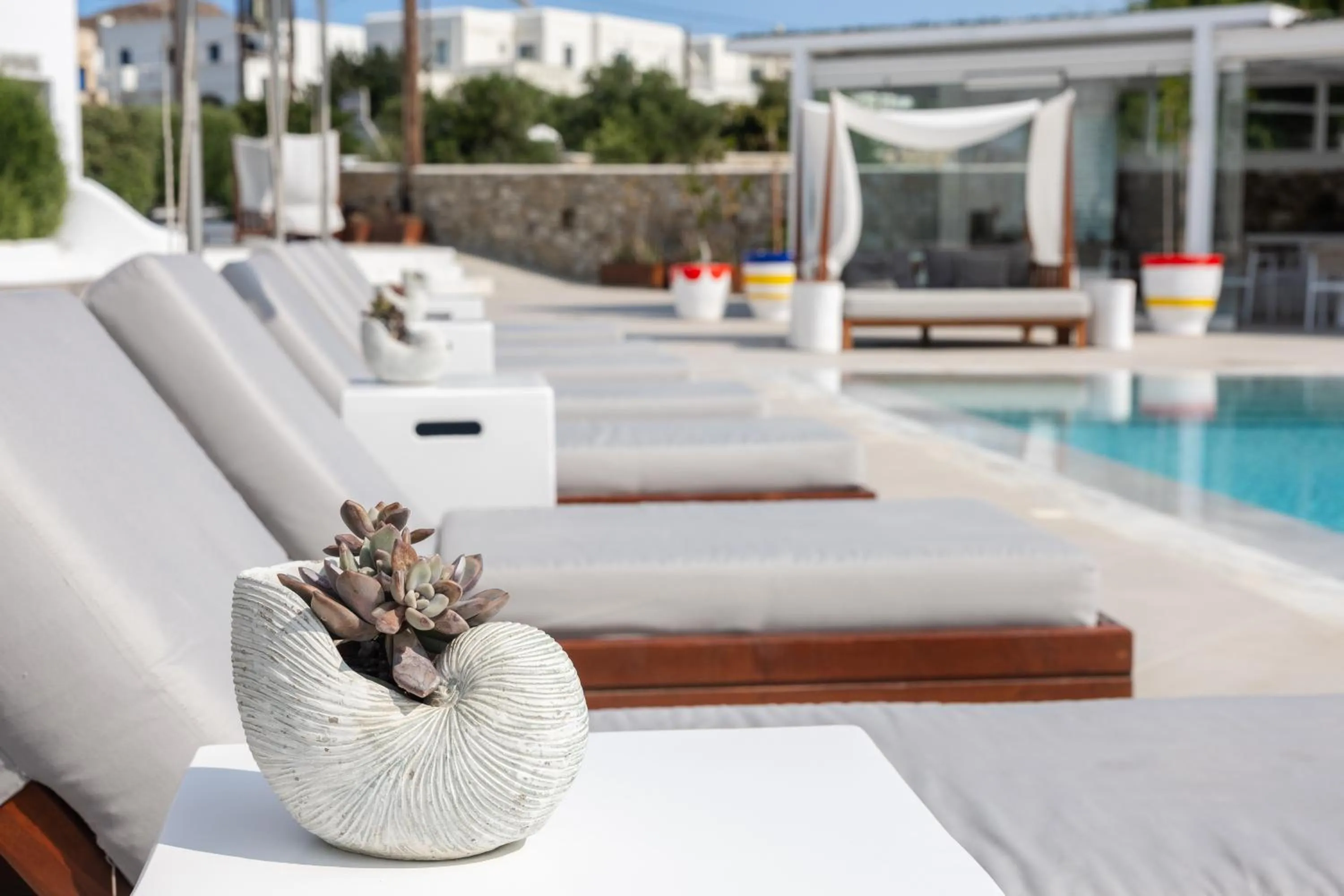 Swimming pool in 18 Grapes Hotel