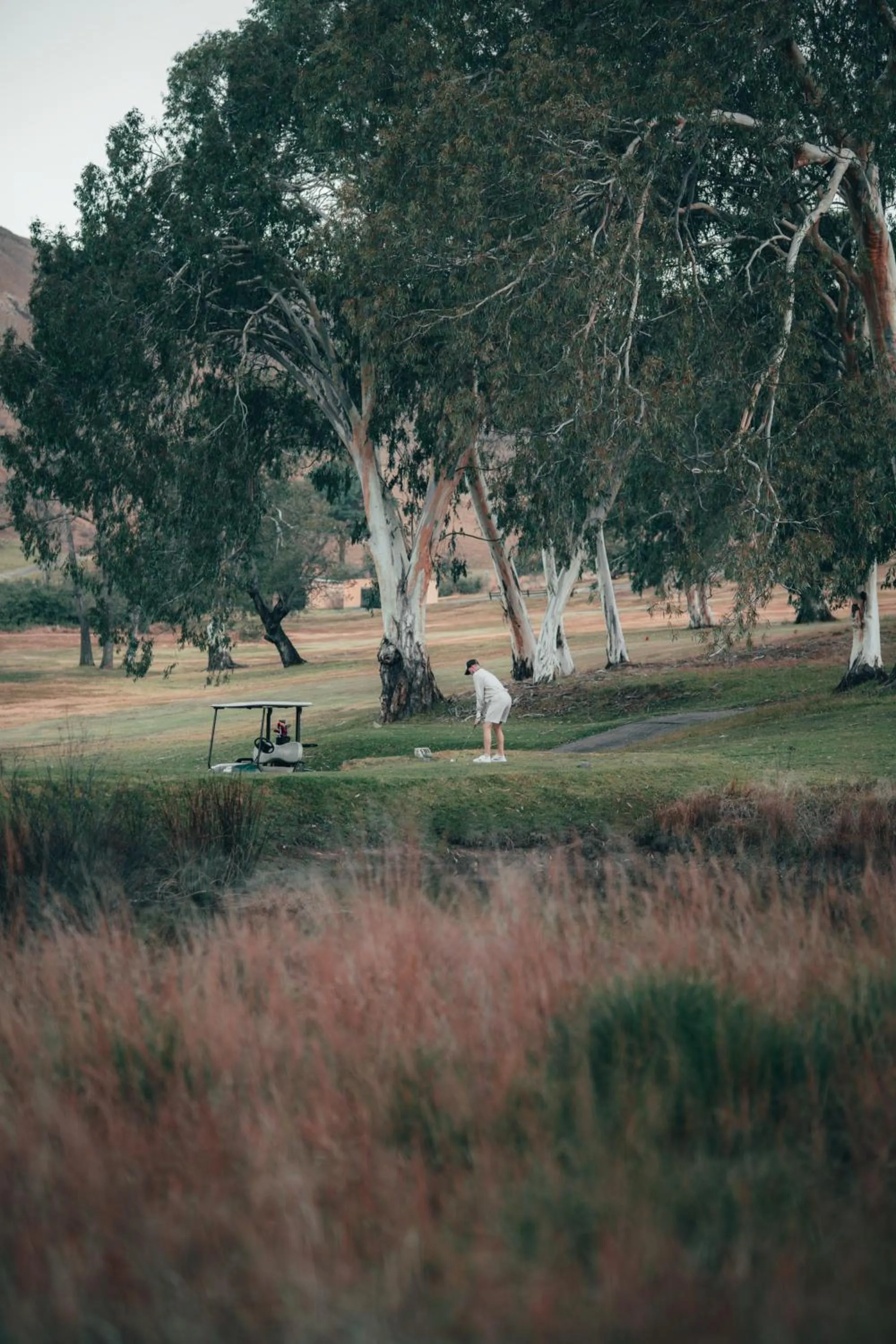 Natural landscape in Gooderson Drakensberg Gardens Golf & Spa Resort