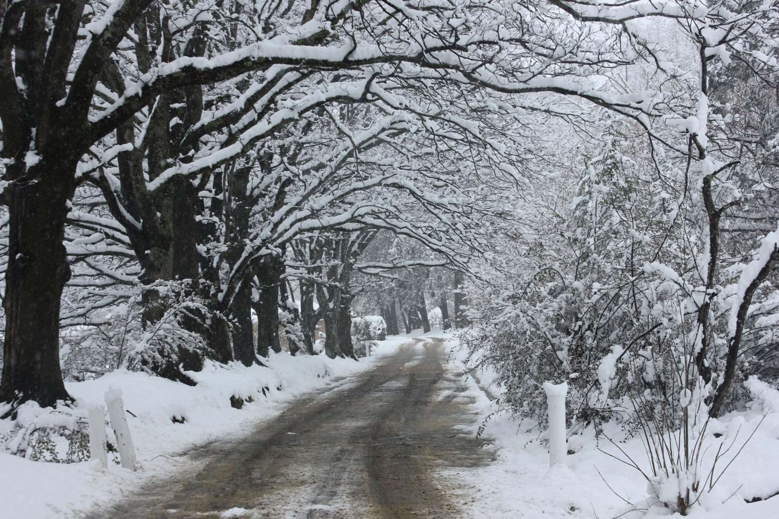 Natural landscape in Gooderson Drakensberg Gardens Golf & Spa Resort
