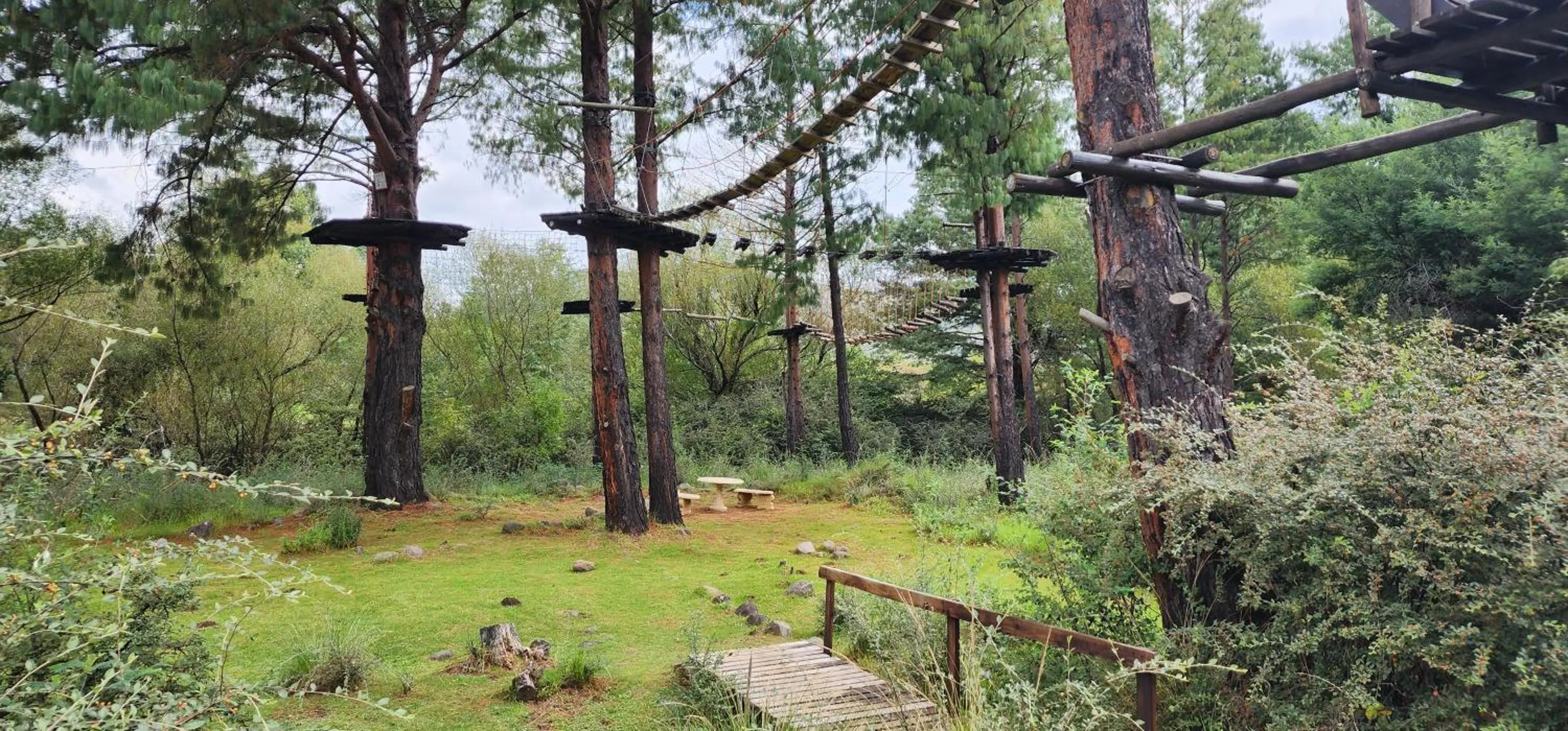 Garden in Gooderson Drakensberg Gardens Golf & Spa Resort