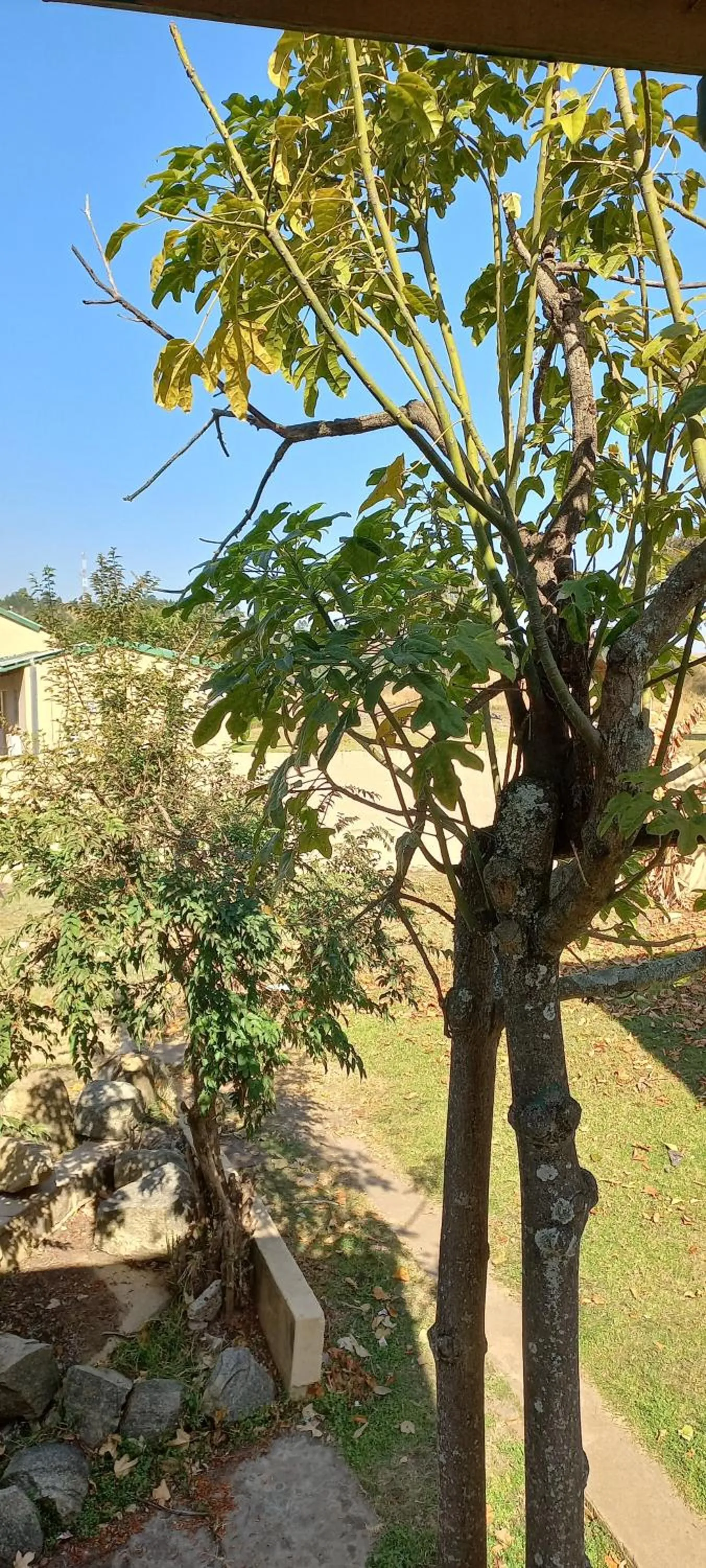 Staff in Gooderson Natal Spa Hot Springs Resort