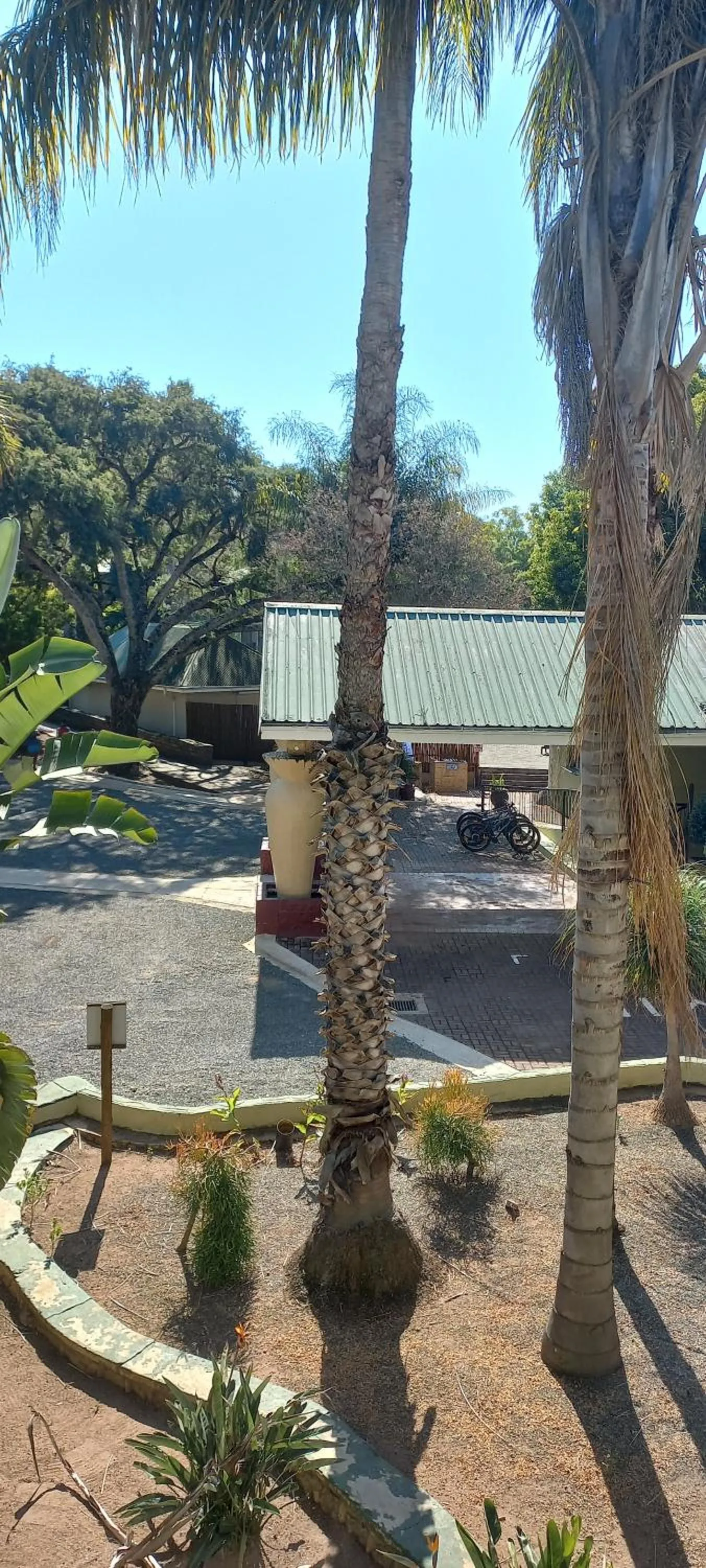 View (from property/room) in Gooderson Natal Spa Hot Springs Resort