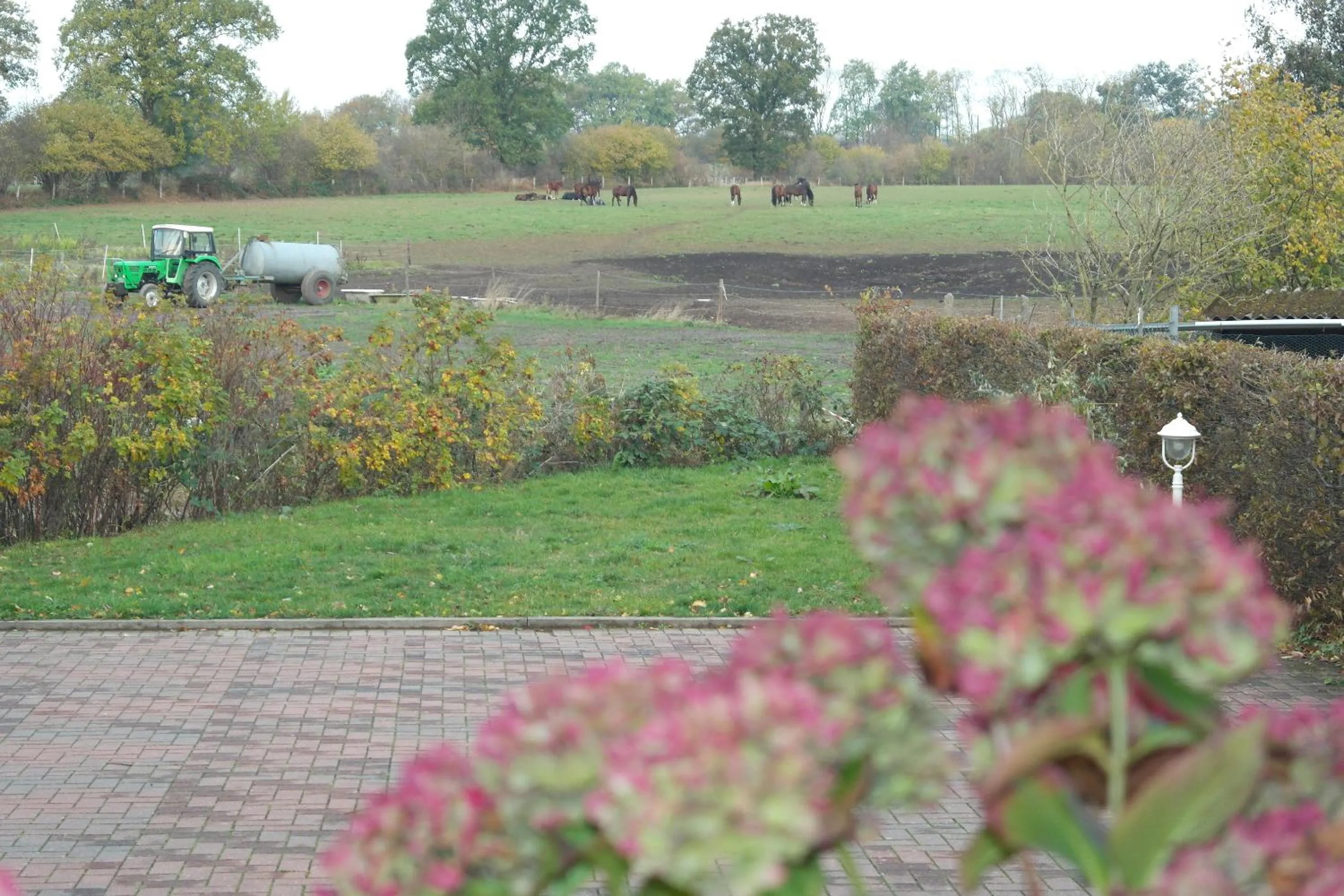 Natural landscape in Landhaus Hammoor Stieper Gastronomie GmbH