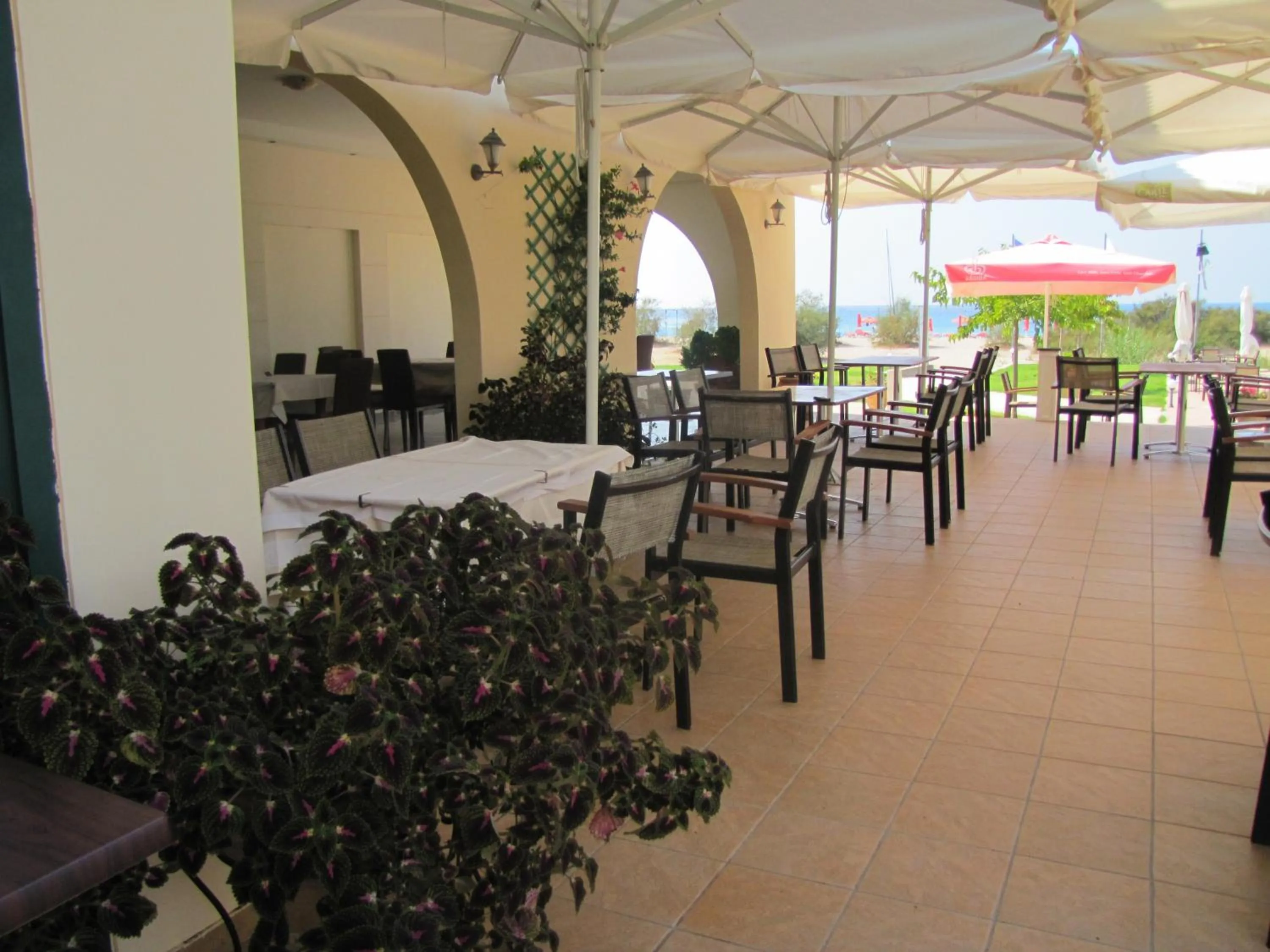 Restaurant/places to eat in Coralli Hotel