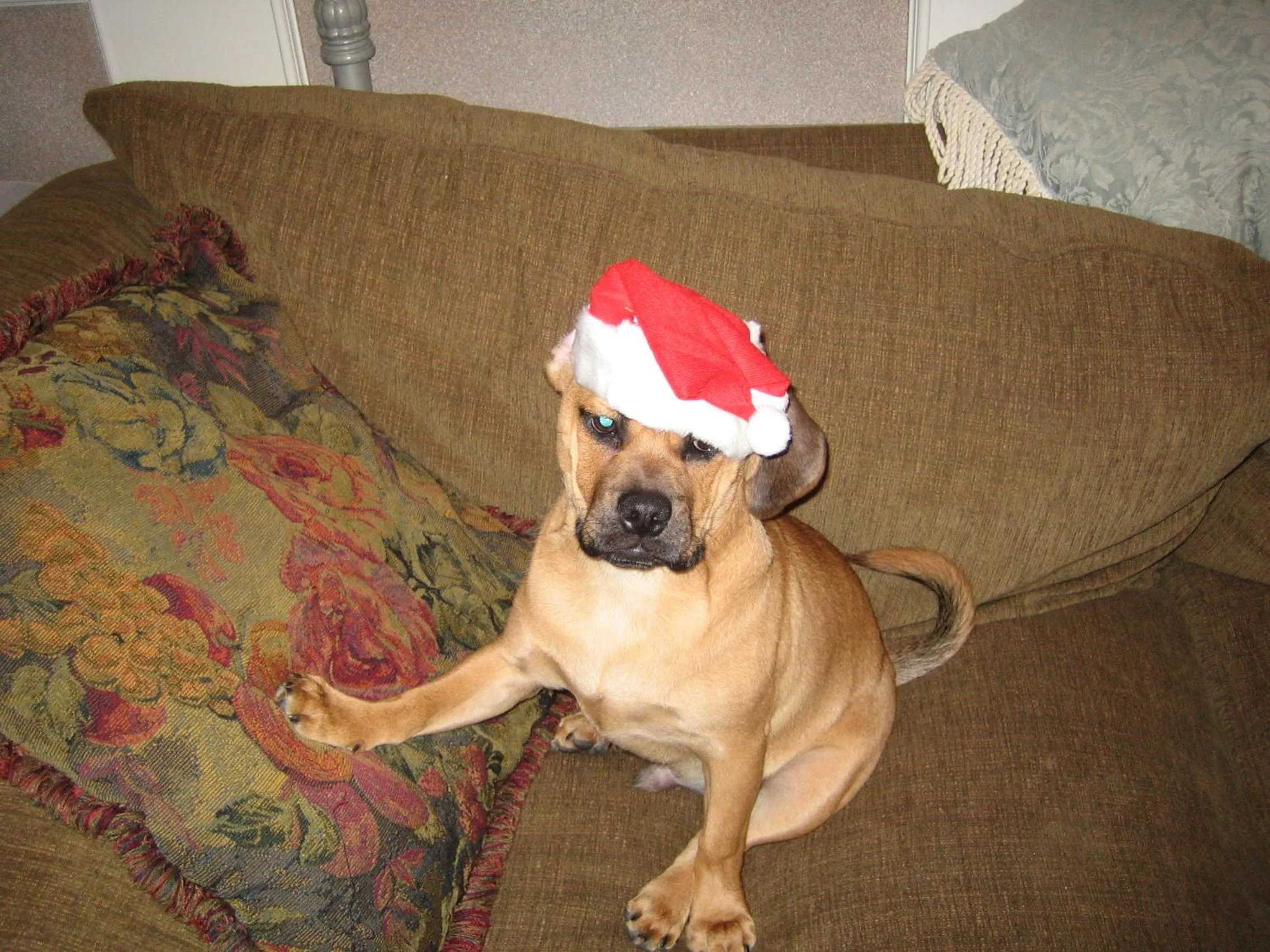 Ocean Breeze Executive Bed and Breakfast