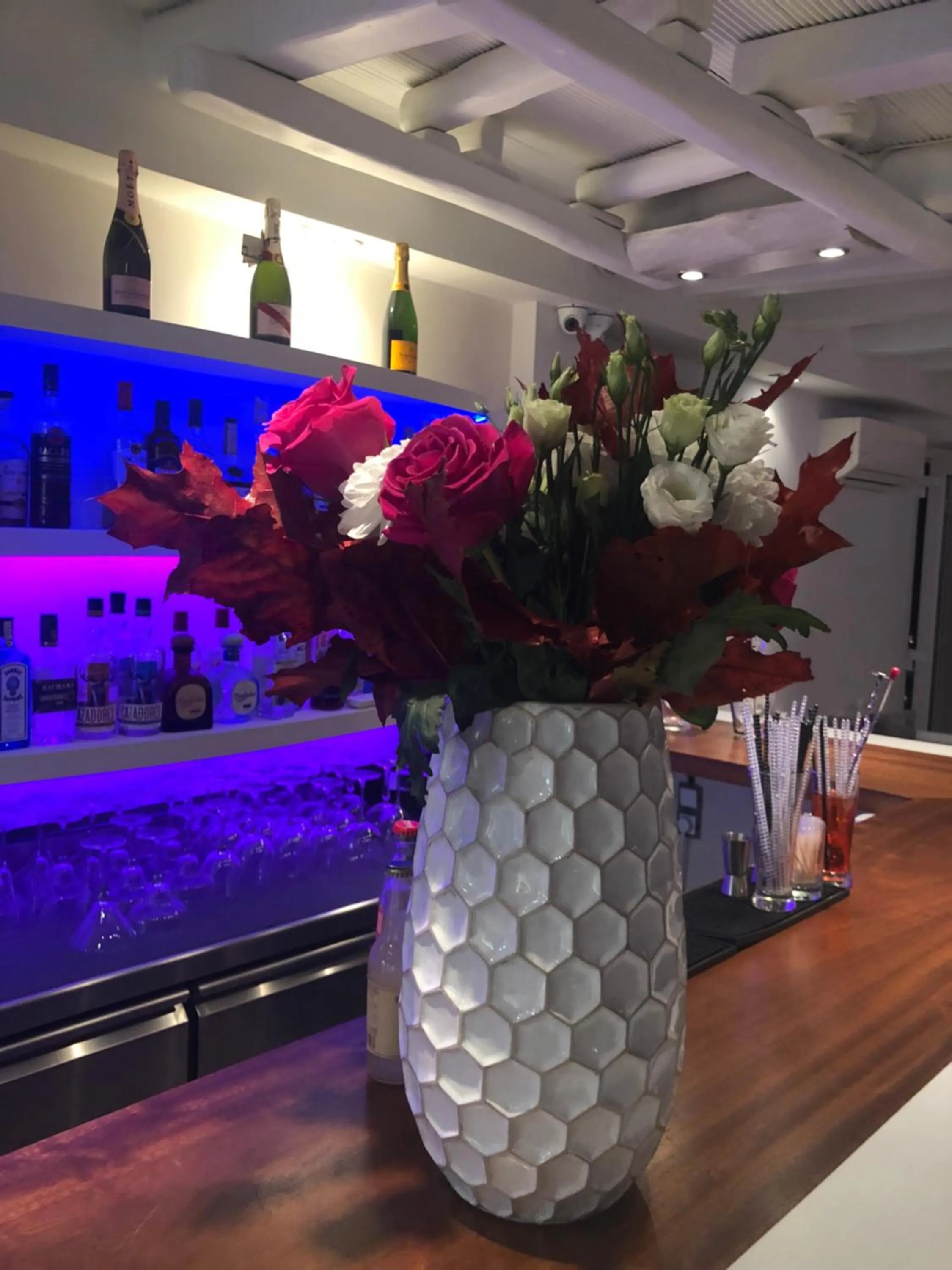 Lounge or bar in Ibiscus Boutique