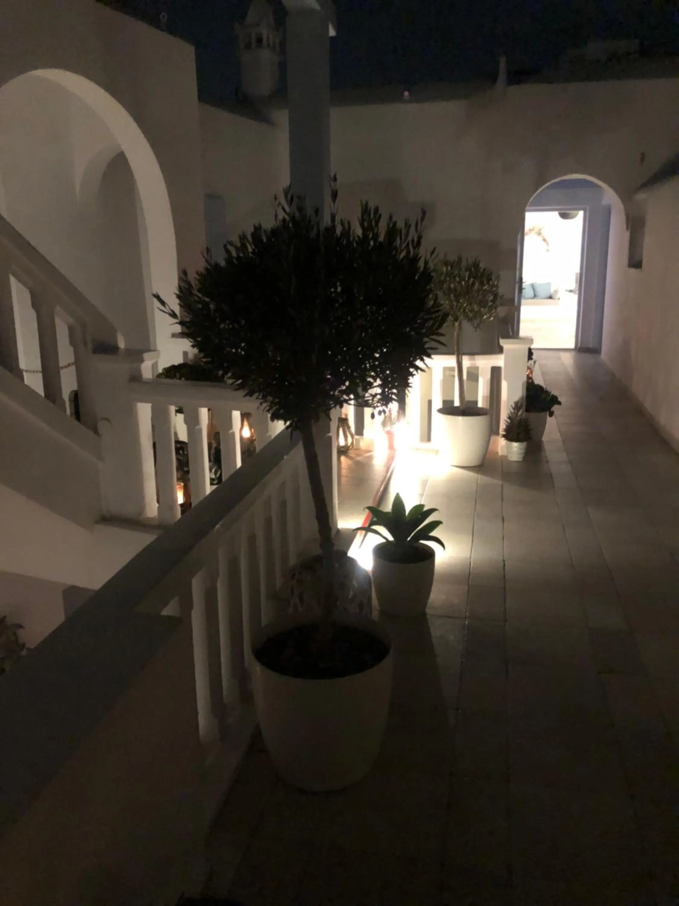 Patio in Ibiscus Boutique