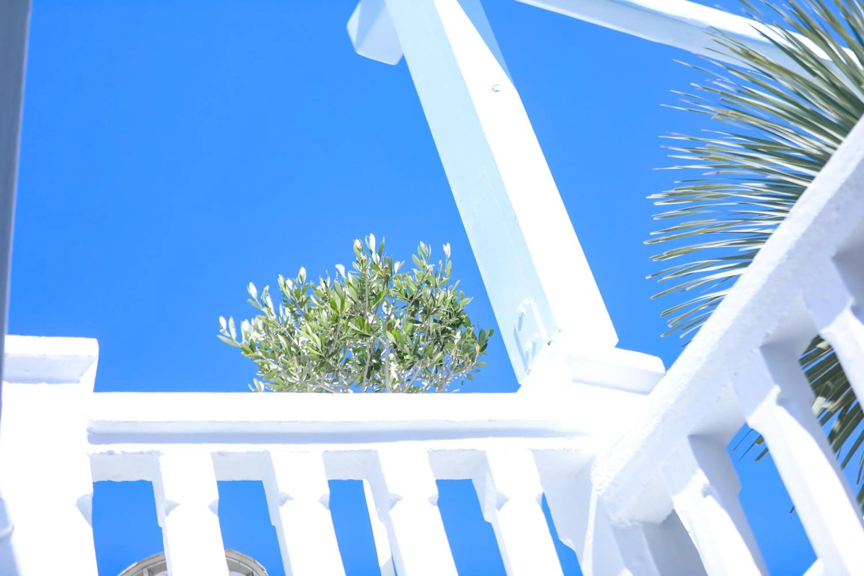 Property building in Ibiscus Boutique