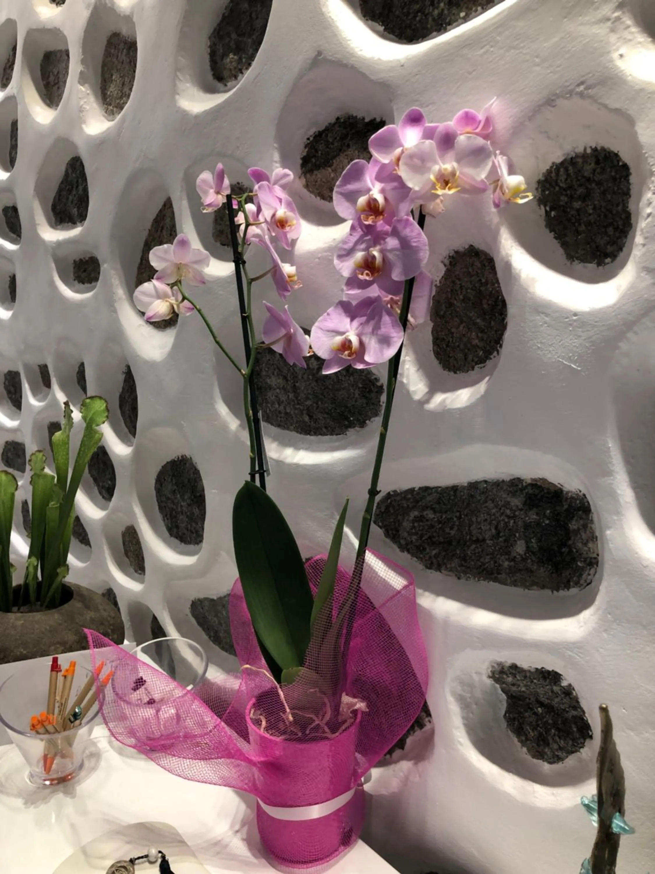 Decorative detail in Ibiscus Boutique