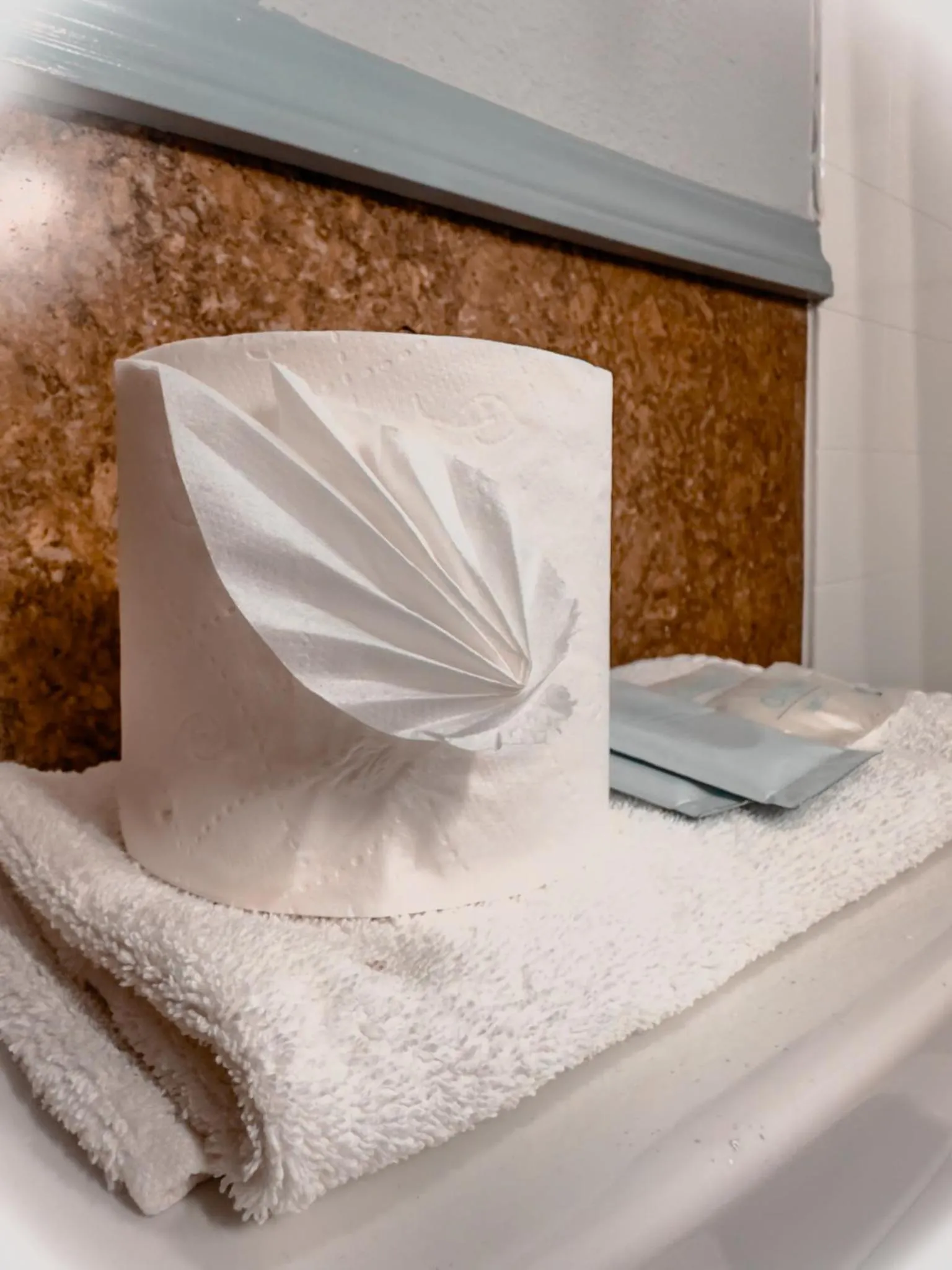 Toilet in Americas Inn & Suite