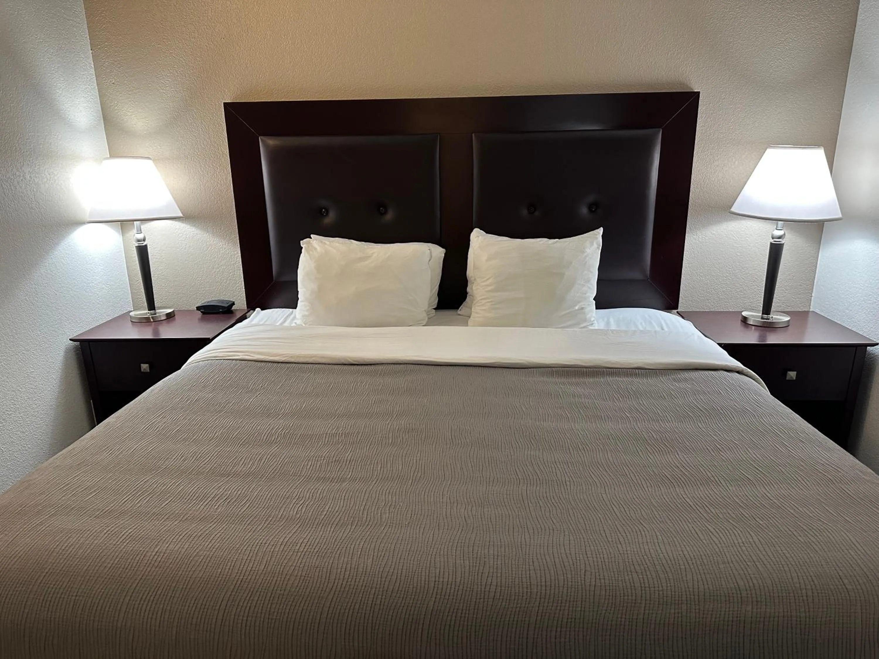 Bed in Quality Inn & Suites Everett
