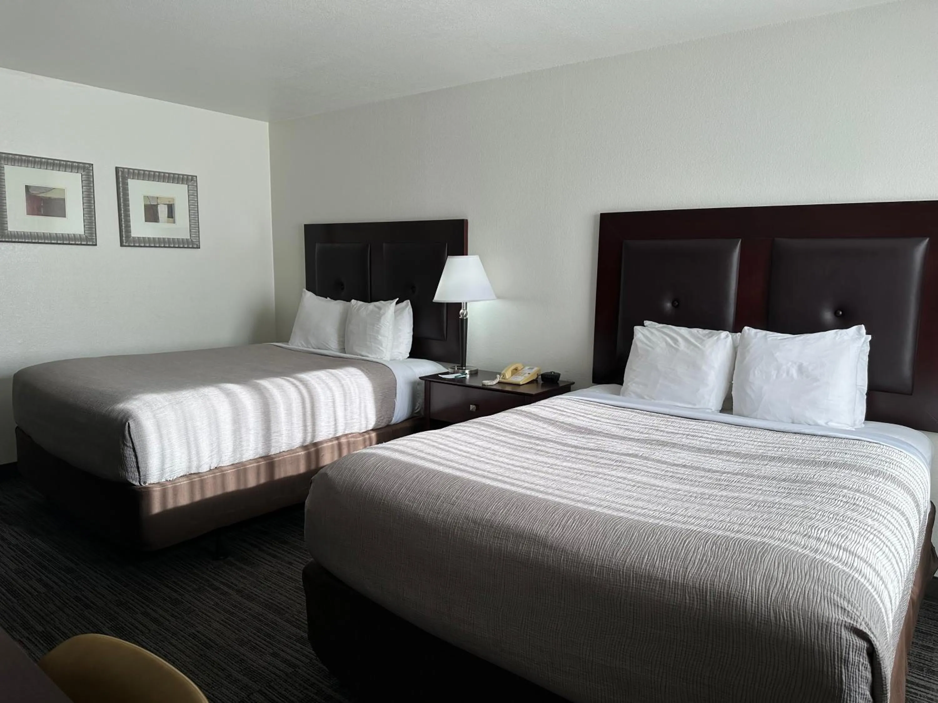 Bed in Quality Inn & Suites Everett