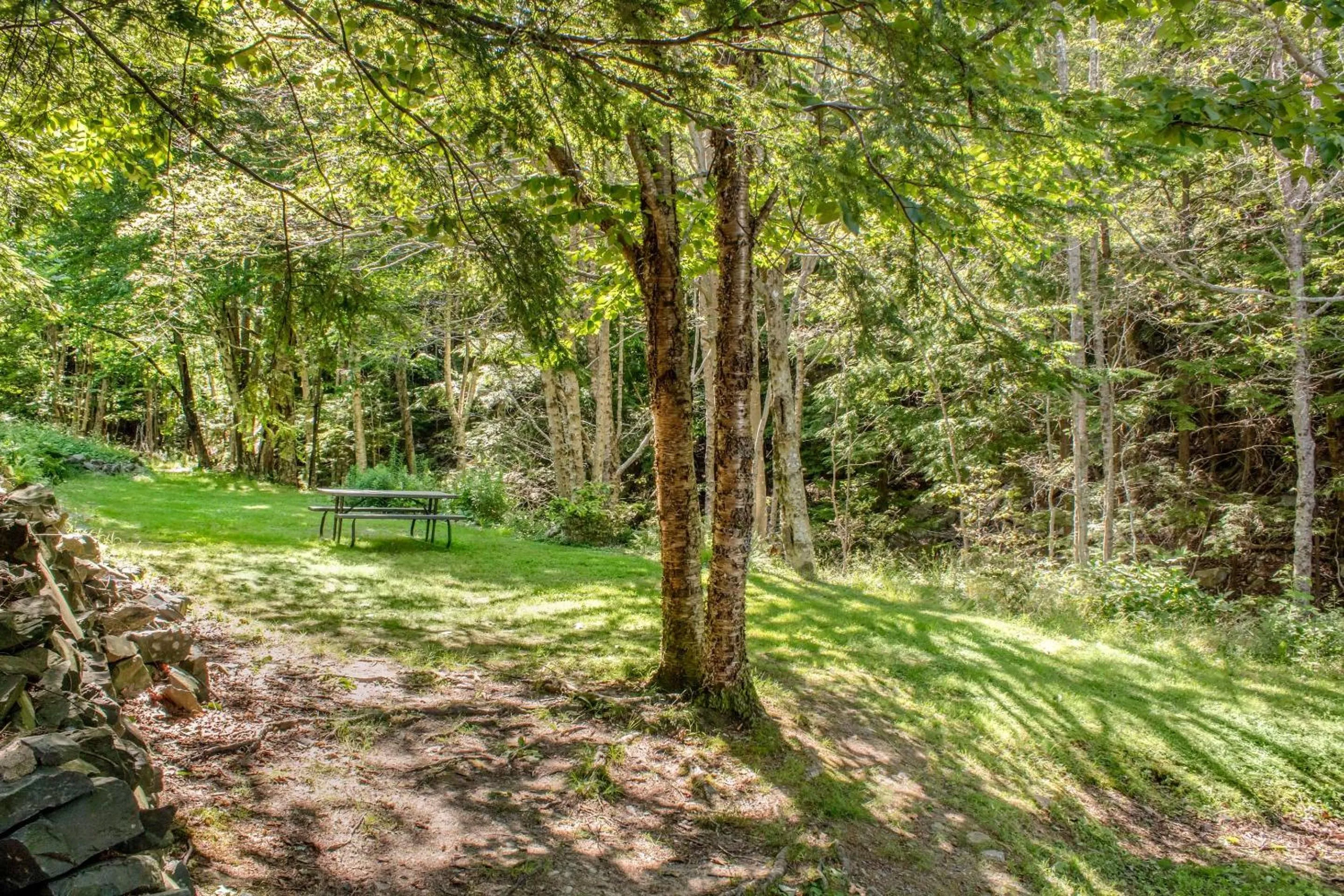 Other in Comfort Inn