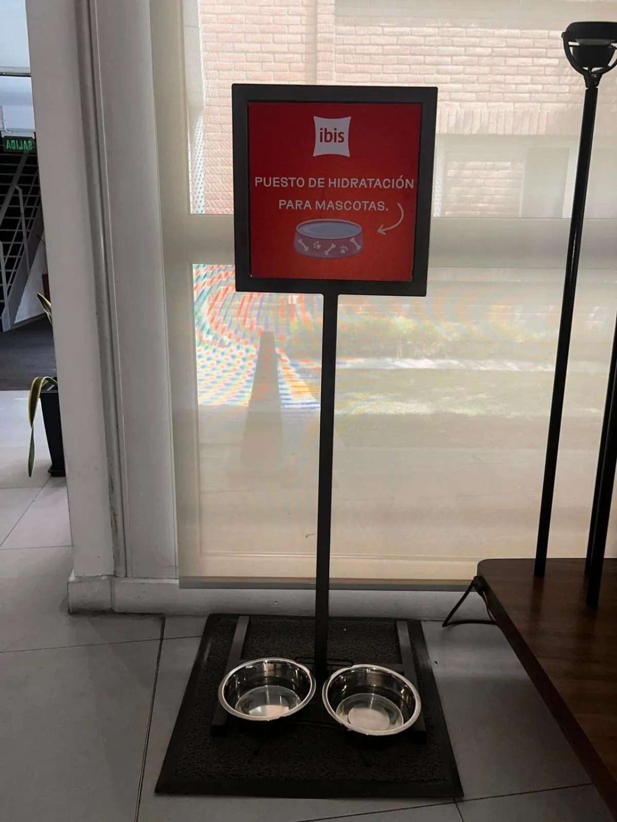 pet friendly in ibis Mendoza