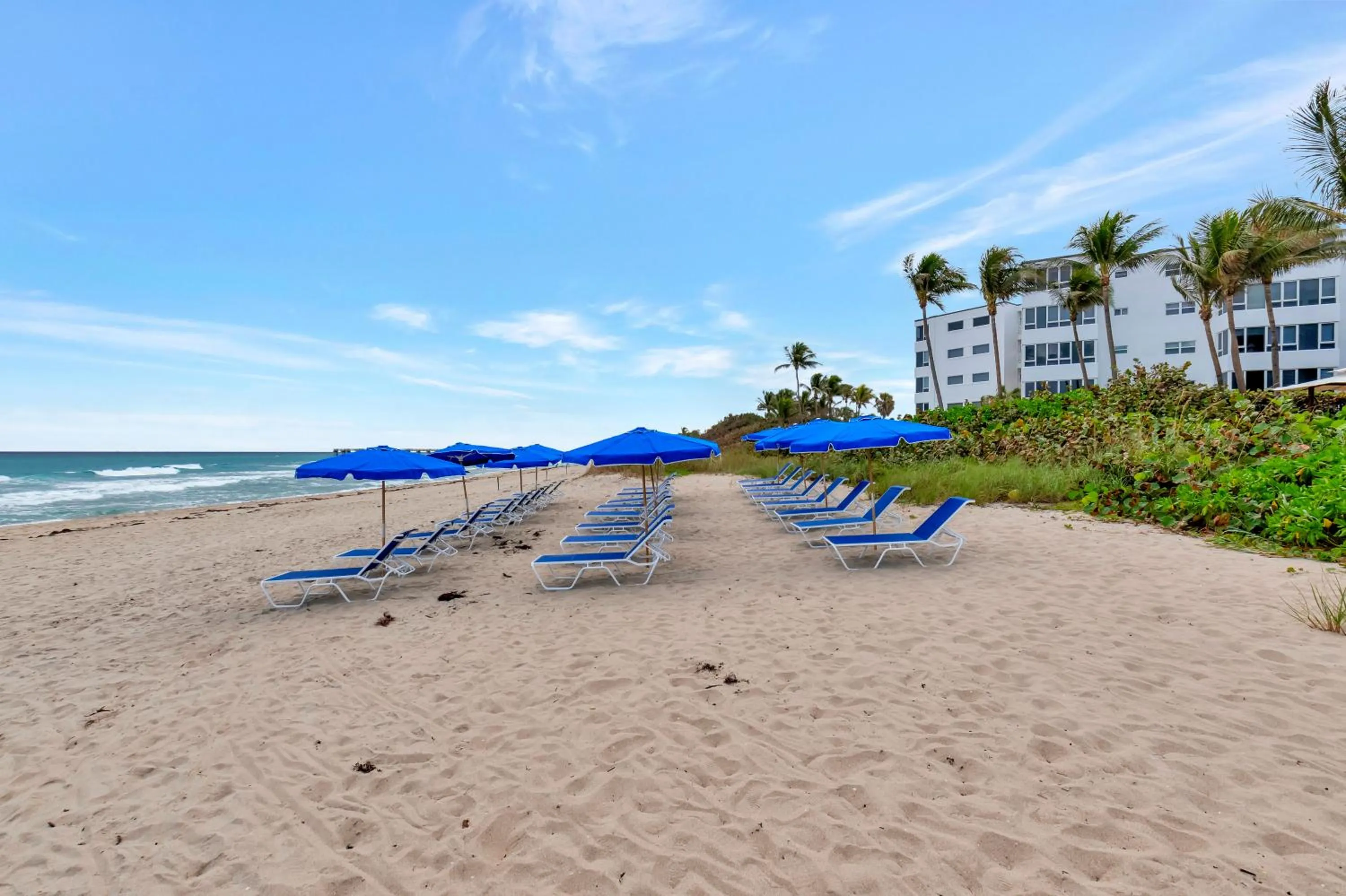 Natural landscape in Tideline Palm Beach Ocean Resort and Spa