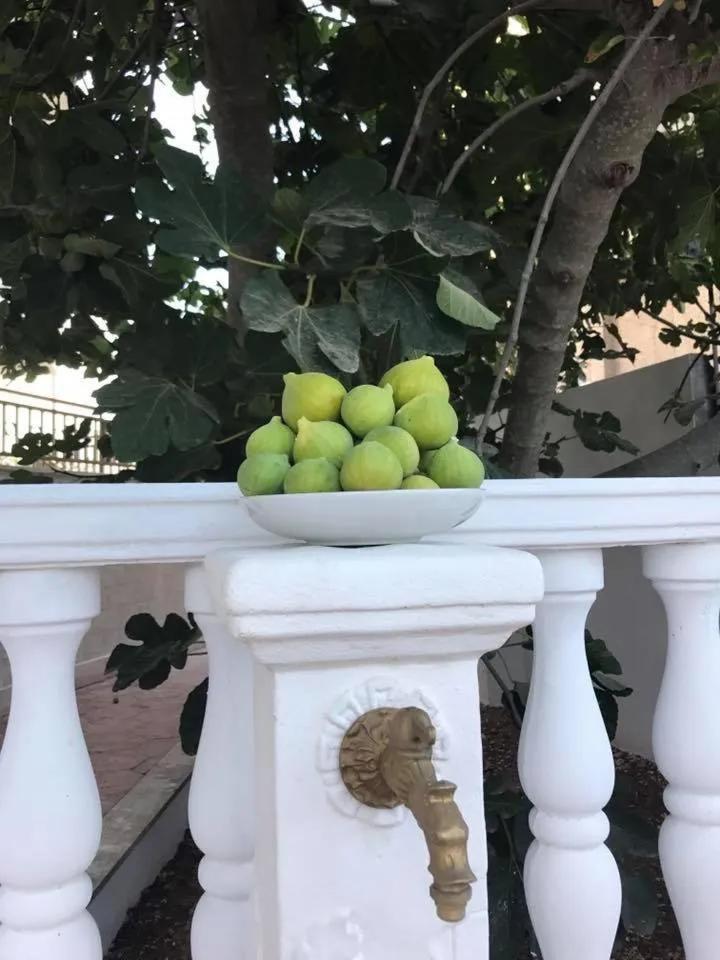 Villa Cristina B&b Alezio