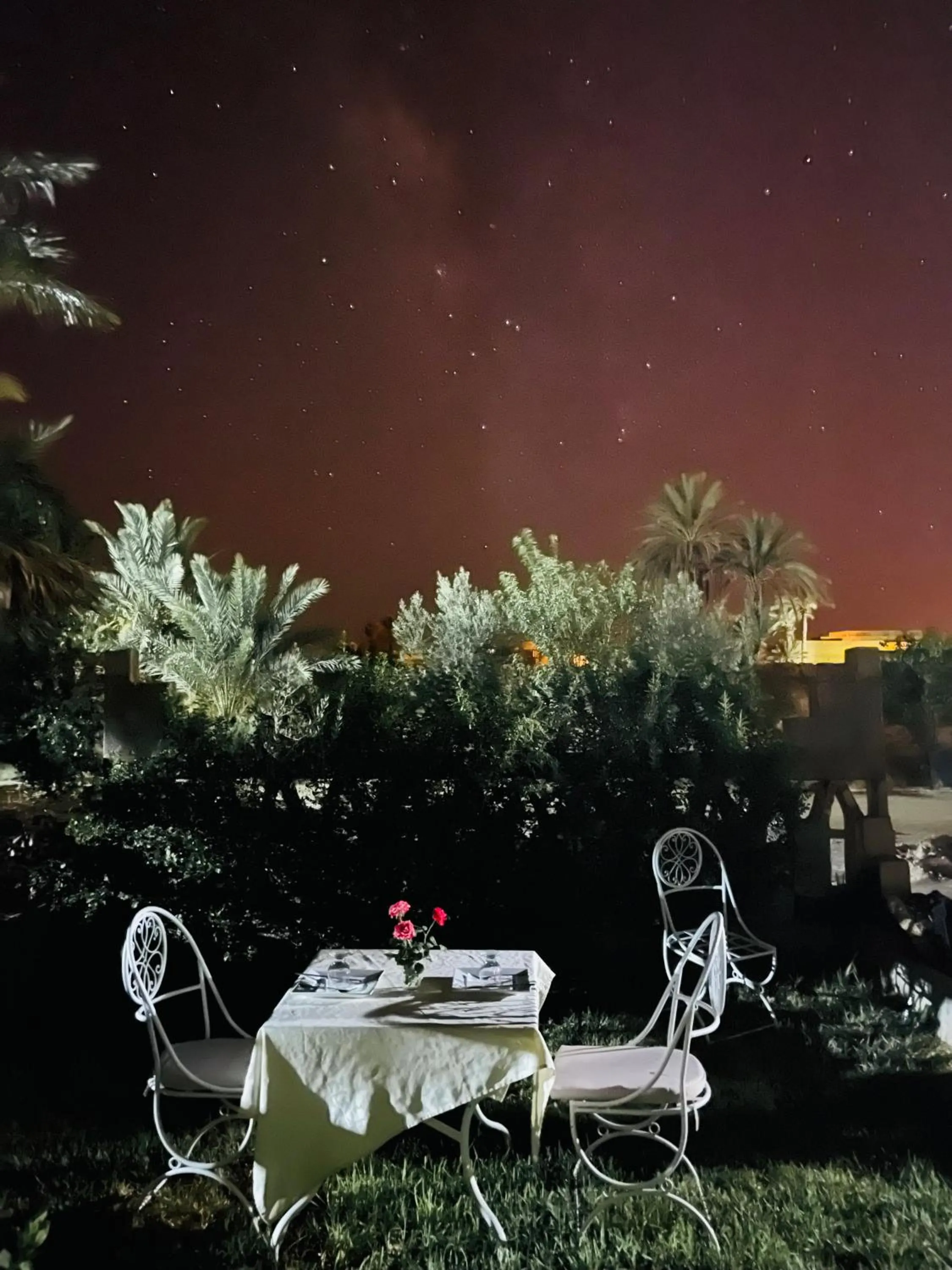 Restaurant/places to eat in Paradis Touareg