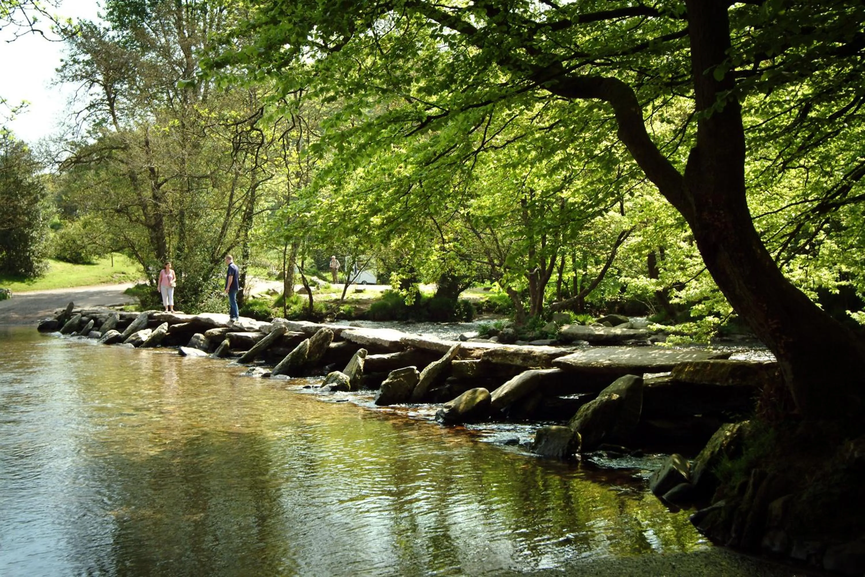 Natural landscape in Zeal Farm