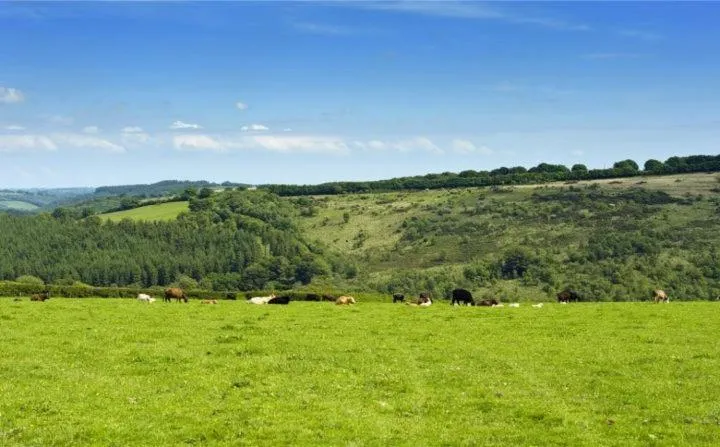 Property building in Zeal Farm